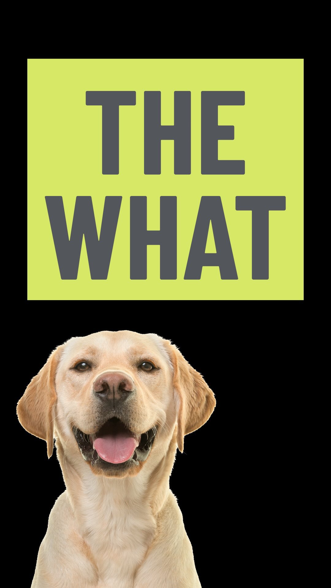 This is what we’ve been working toward… A new way to bring service dogs into more lives. #TheWHAT