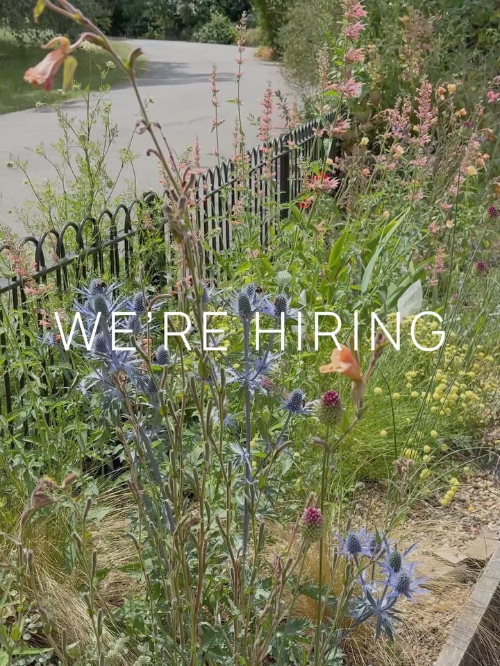 We are looking for enthusiastic, reliable people to work with us full-time and part-time at @theglassmakerscafe, at Brockwell Hall.
We love happy, positive people with lots of energy and great communication skills who are ready to deliver a high standard of professionalism and exceptional customer service for our lovely local community.
In return we can offer full training, sociable hours, a green view of Brockwell Park, free meals on shift and a chance to progress your career with an ambitious company.
Experience is preferred, but for a positive, friendly and proactive candidate there is always room to train.
If you think you fit the bill, or know somebody
who does, then please email recruitment@parklife.co with your CV.