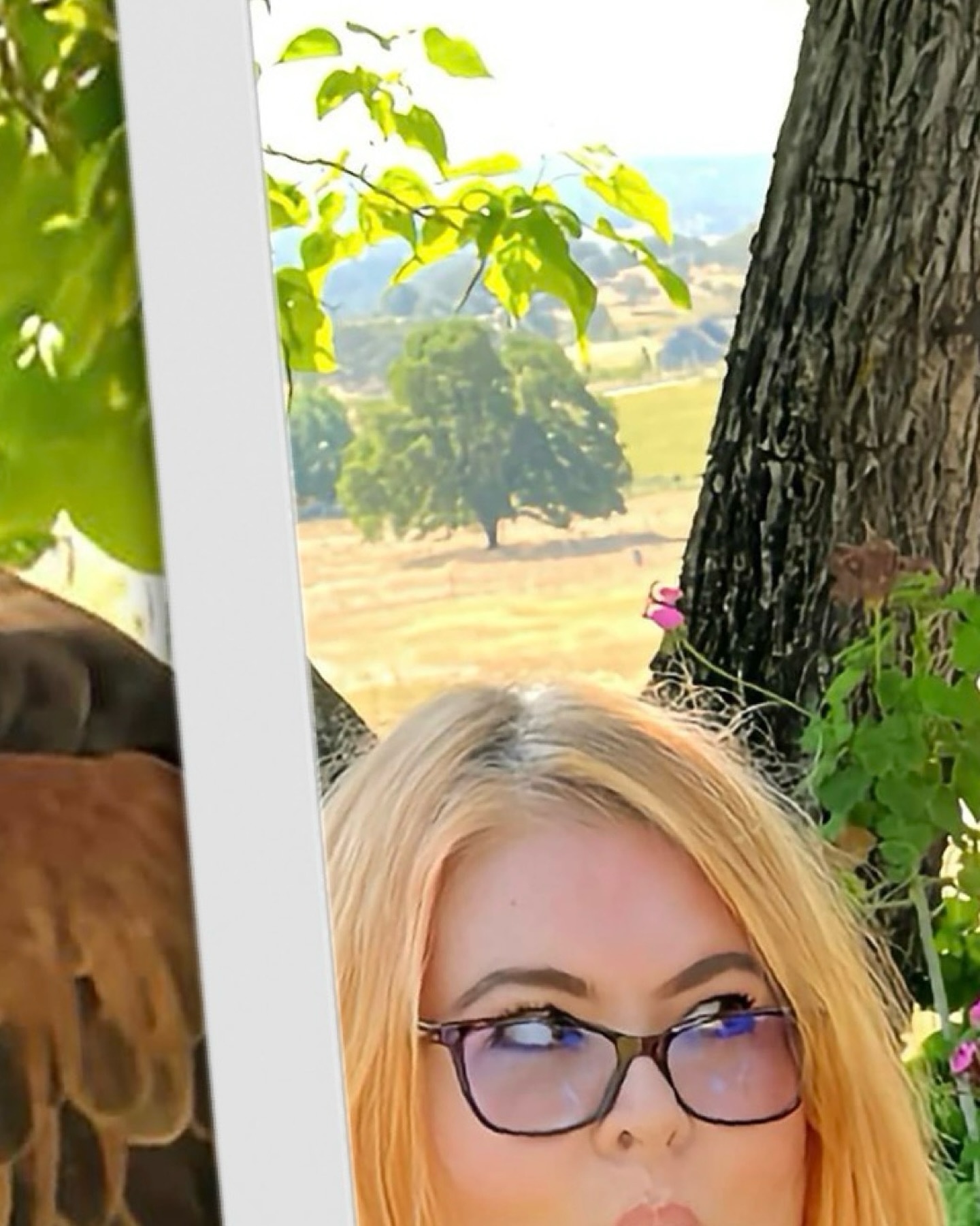 A kettle doesn’t cling — it lifts.
No squabbling. No pecking order. Just silent agreement to rise together.
I like to think that’s how ideas gather, too.
Hashtags:
#KettleOfHawks #GatherOfGatherings #FlightAsMetaphor #CreativePodcast #LanguageAndNature #BirdsOfPoetry #WordGatherings #SkyBoundThoughts #PoeticScience