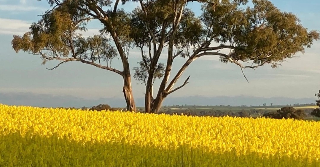 What a great way to spend Father's Day