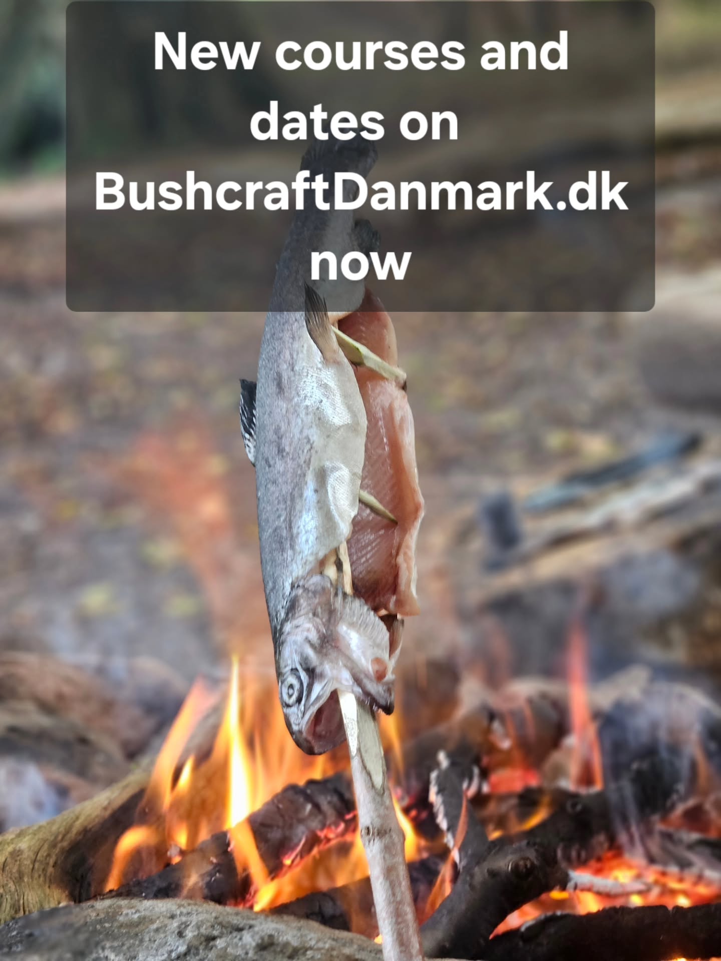 New courses, workshops and dates for 2026 on the website now.
#Bushcraft #survival #traditionalcraft #primitiveskills #bushcraftschool #bushcraftskills #wildernessculture #wildernessskills #friluftsliv #friluftsvejleder #spejderleder #spejder #udeliv #vildmarksfærdigheder #vildmarksliv #bushcrafthåndværk
#bushcrafteducation #overlevelseskursus #overlevelse #naturskole #keepitsimple #bushcrafteurope #bushcraftdanmark