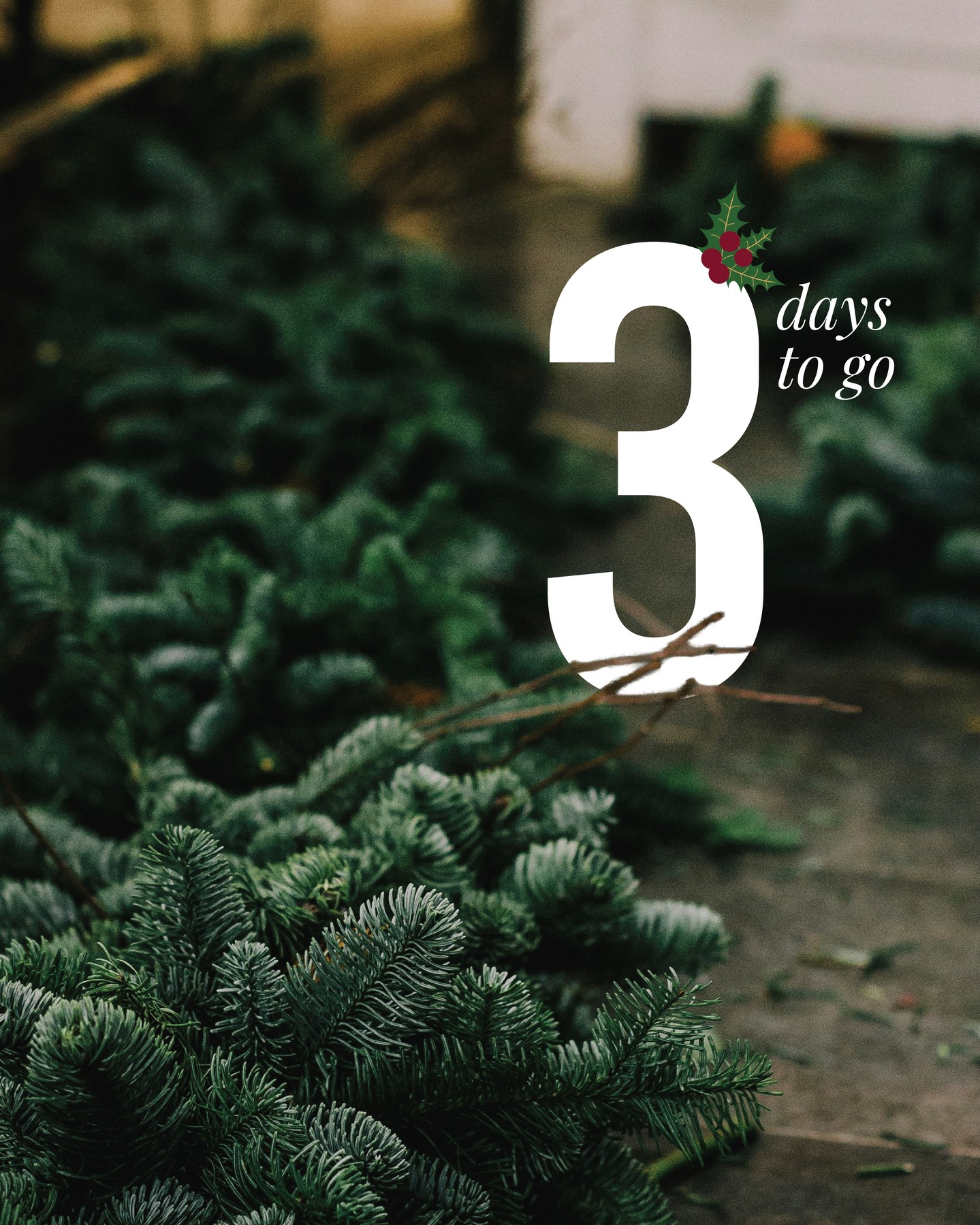 Getting closer... only 3 more sleeps until we open our phone lines for Christmas bookings at The Grumpy Moles! 🎄
☎️ ☎️ ☎️
Epsom: 01372 721309
Cheam: 0208 394 2000
Tadworth: 01737 353529
Brockham: 01737 845101
Oxted: 01883 722207
Set your alarms and give us a ring for Monday (September 1st) before you forget! #grumpymole #thegrumpymole #festivemenu #christmasbookings #celebration #christmas #bookonline #festivemoles