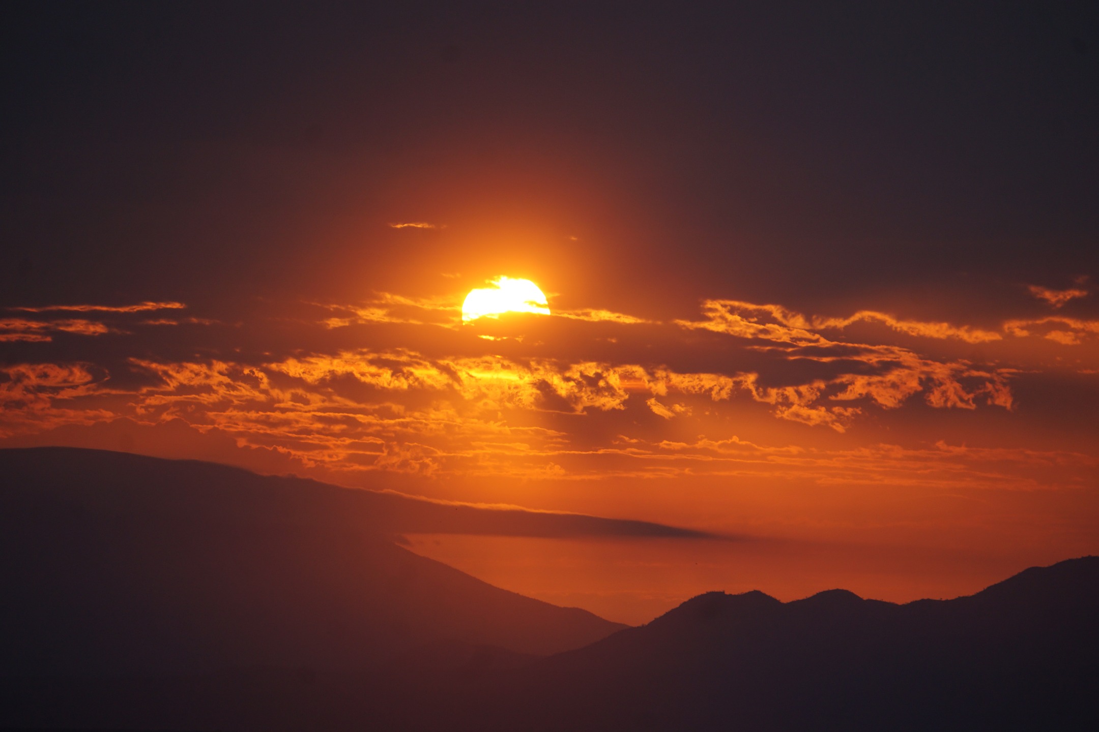 ✨ Sunrise over the Serengeti… the road stretches ahead, calling us into the heart of the wild.
🚙 With every turn, the safari reveals its magic—giraffes silhouetted against the golden sky, zebras crossing the path in harmony, and lions resting proudly in the morning glow.
A road trip in Tanzania isn’t just travel—it’s a journey into nature’s grandest theater. 🌍🦒🦓🦁
#SiriniSafaris #TanzaniaSafari #WildlifeExperience #SerengetiSunrise #tanzania🇹🇿 #travelbag