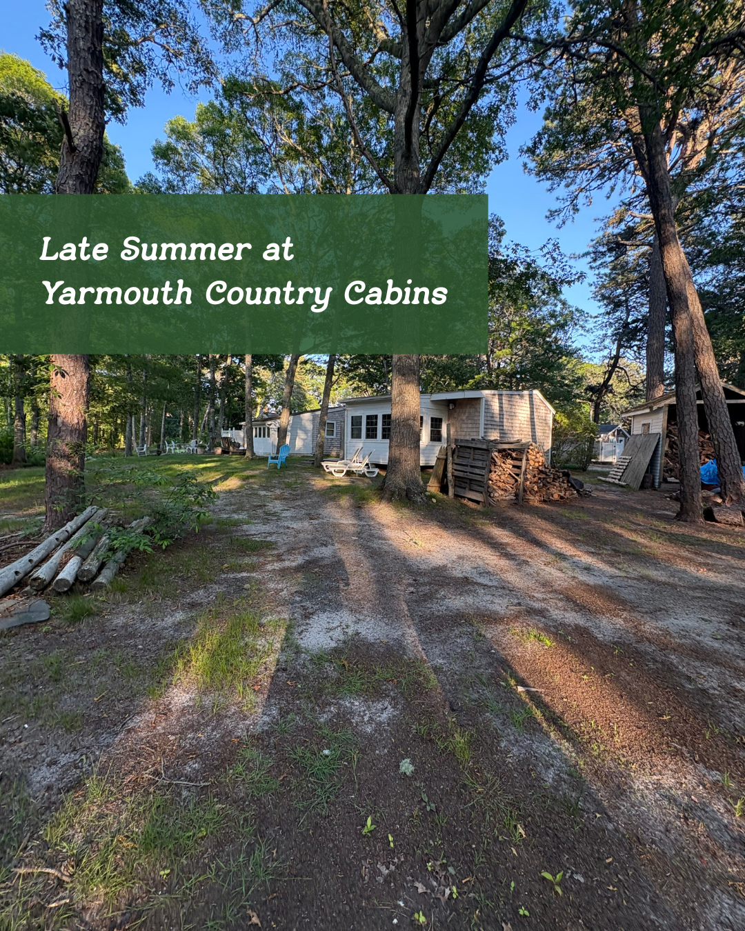 You don’t have to pack your days with plans—but if you want to… we’ve got ideas.
From peaceful beach walks to charming local shops, here’s what’s near our cabins this fall.
#CapeCodThingsToDo #FallOnCapeCod #YCCLocalGuide