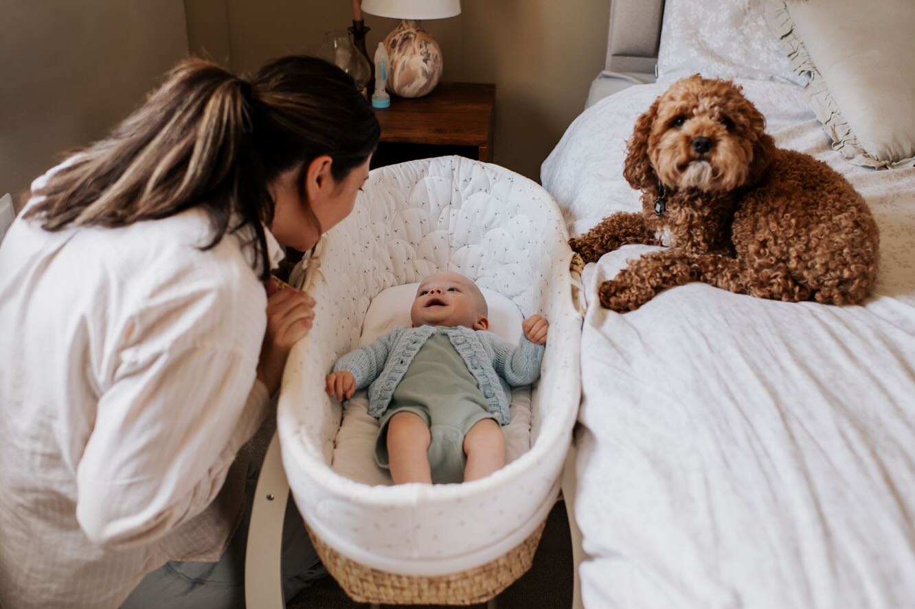 From a lovely family shoot yesterday with Connor and Teddy - I’m not a huge doggy person but I could have taken Teddy home, and Connor but that’s always the case with little ones! ♥️👶♥️
.
.
#naturalfamilyphotography
#naturalbabyphotographydurham
#babyphotographyathome
#familyphotographerdurham
#newbornphotographerdurham