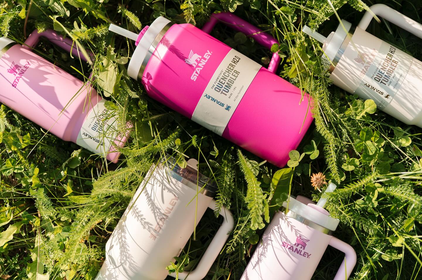 On Wednesdays we drink from pink Stanleys 🩷 Our Stanley selection is thriving, stay tuned for the fall color drop, coming soon!
#nuggetoutfitter #nuggetalaskanoutfitter #mendenhallmall #stanley