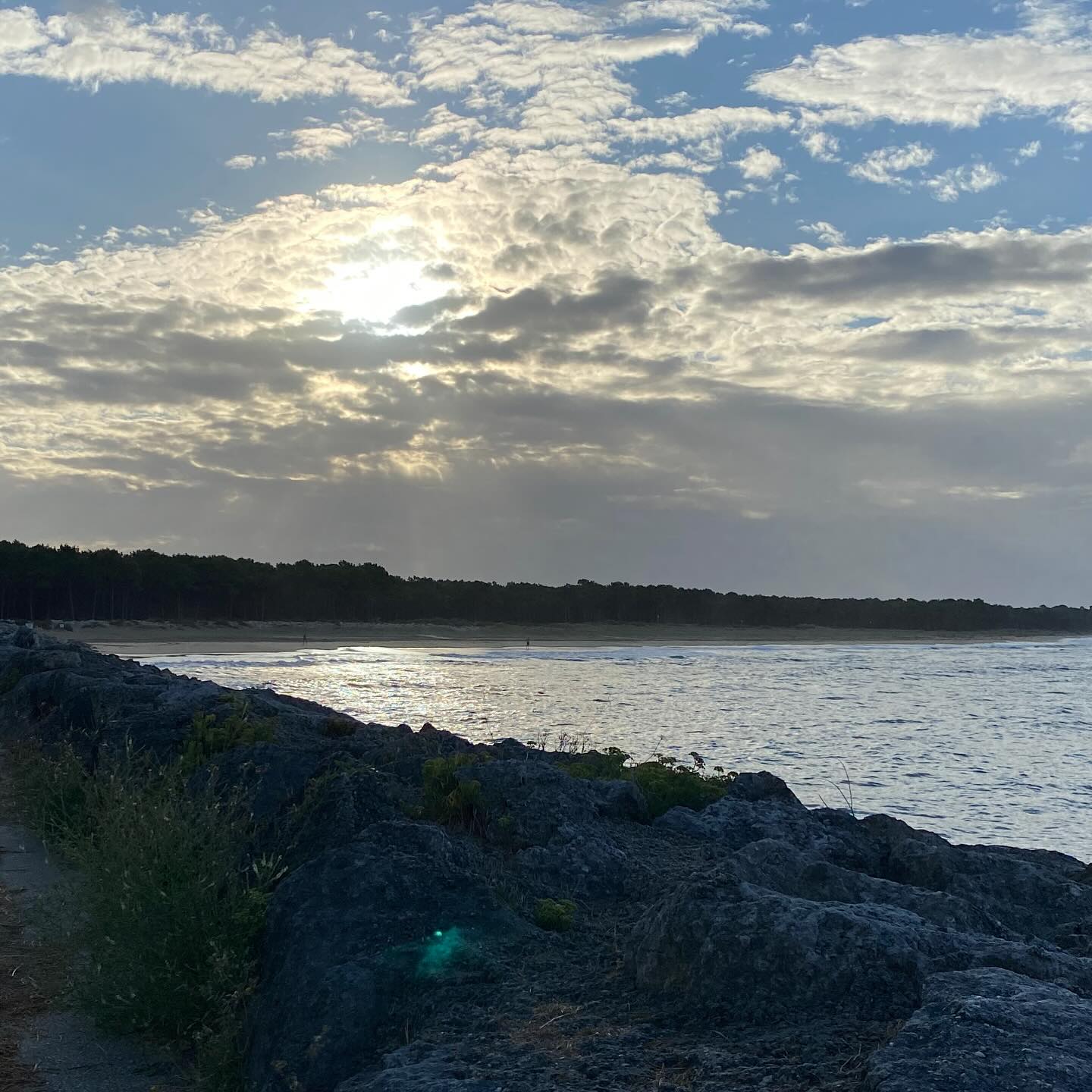 ✨Parfois il faut savoir mourir à soi-même de façon à renaître à soi-même de plus belle. Autrement dit : Lâche ce qui n’est plus afin de faire de toi la plus belle version de toi-même. Signé ton guide 😉😘 #croireensoi #croissancepersonnelle #evolution #joie #joiedevivre #spirituality #renaissance #fry #lacheprise