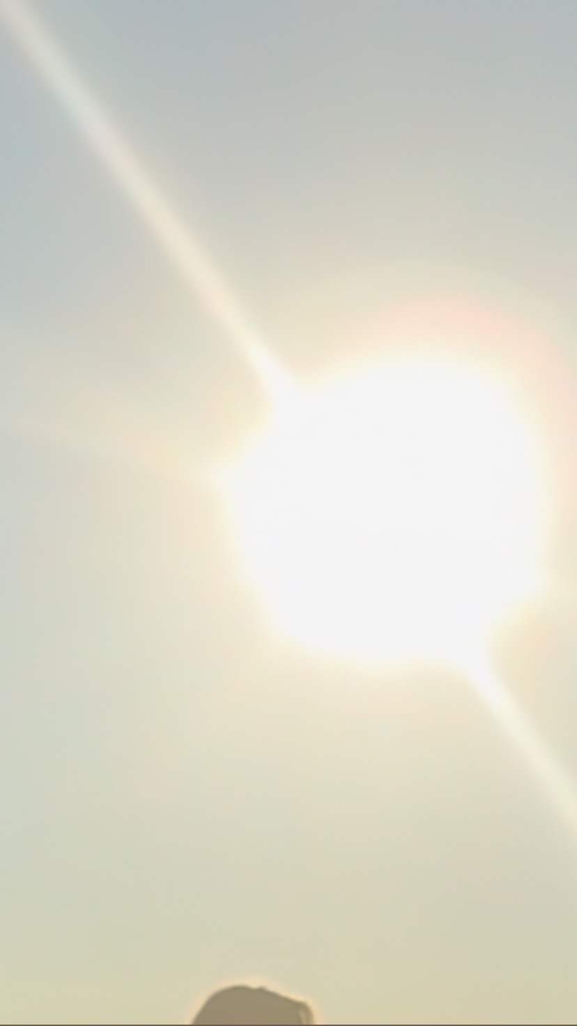 Guddommelig vilje…
I denne uge hvor solen besøger 40 GenNøgle opfordres vi til at slippe vores behov for kontrol og i stedet have tillid til, at der findes en højere mening eller kraft, som arbejder gennem os og livet.
Det er derfor oplagt at bruge denne periode til at fordybe din spirituelle praksis eller følelse af forbindelse til det guddommelige – hvad end det betyder for dig (Gud, universet, naturen, intuition, osv.).
Vil i den anledning gerne anbefale den essentielle olie, Frankincense:
~ der højner bevidsthed og skaber spirituel vækkelse og evolution.
~ inviterer dig til at slippe lavere vibrationer (skyggestadier), hvor negativitet, usandheder og bedrag hersker.
~ forstærker forbindelsen dig til din sjæl og får dig til at se klart.
Hæld f.eks. en dråbe i dine håndflader og indånd aromaen og påfør bag ørene (hvor der løber en meridianbane).
Kærligst Pernille
🔹💙 🔹
Video fra solnedgangsdans af @moonbeam_christianshavn
______________________________________
#40gennøgle
#hologenetisklæsning
#selvbevidsthed
#alignment
#essens
#frekvensarbejde
#autencitet
#vibration
#bevidsthedsarbejde
#selvudvikling
#kærlighed
#kenddigselv
#selvomsorg
#hjertesager
#solarplexusevolution