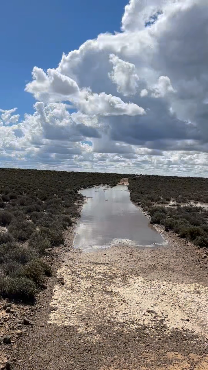 People call the Karoo barren. Spend a day here and you’ll see how wrong that is.
It’s a place that surprises you in the smallest ways, the way the sunrise turns the veld to gold, the sound of nothing but wind, the stars that feel close enough to touch.
This is what we love about Rogge Cloof. It’s not about rushing from one thing to the next. It’s about space, stillness, and the kind of beauty that only reveals itself when you slow down.
If you could escape the noise for a few days, what’s the first thing you’d do?
Tap the link in our bio to explore your stay options.
#luxuryecotravel #darkskyreserve #travelsouthafrica #karoo #karoolife #karooaccommodation #hikingadventures #hikingsouthafrica #cheetahconservation #cheetah #sustainabletravel #stargazing #astrophotography #sutherland #astronomylover #wideopenspaces #natureescape #nightphotography #nightsky #astronomy #thisissouthafrica
