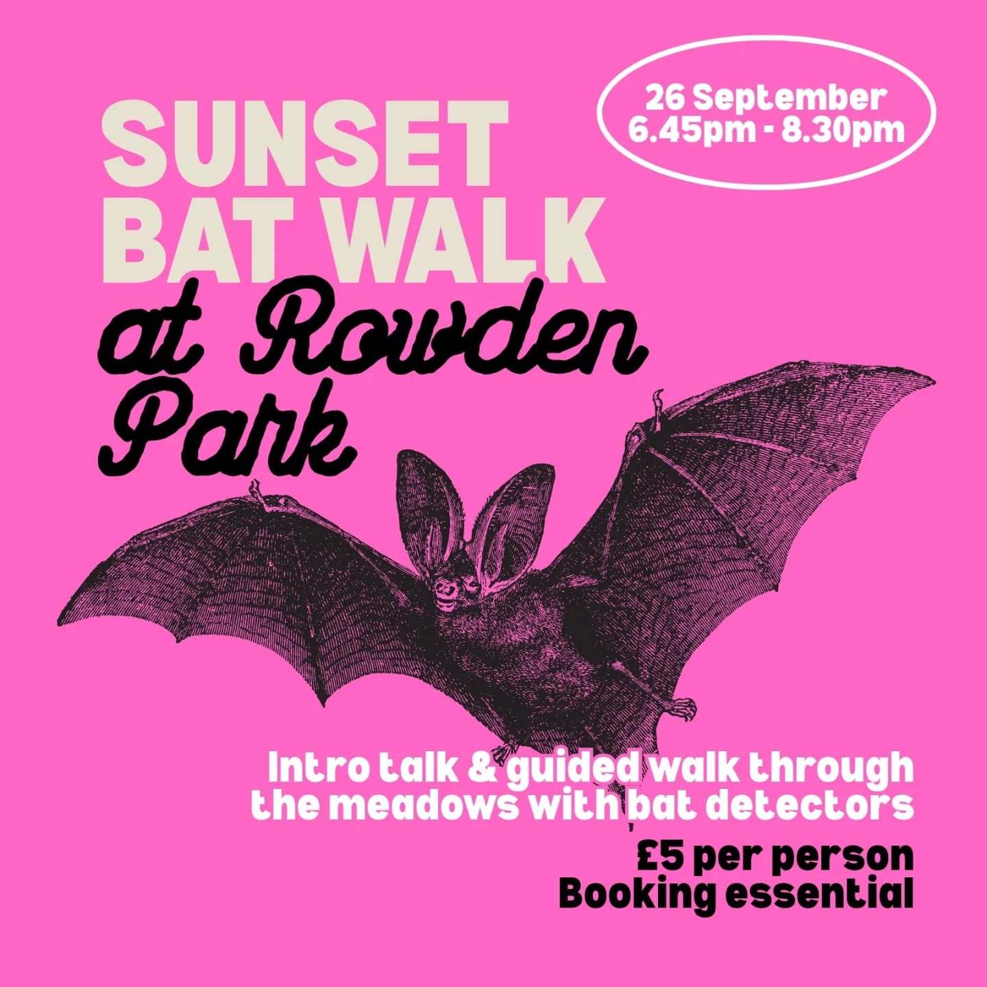 We're collaborating with Wiltshire Bat Group to celebrate our nocturnal superheroes!
Join us for a fascinating sunset bat walk on either 26 September through the meadows of Rowden Park or on 27 September along the historic Wilts & Berks Canal at Pewsham Locks!
The events will begin promptly at 6.45pm with a short talk, where you can learn what makes bats so special, why they need our help in the UK and how to use a bat detector.
We’ll then lead a guided walk at dusk with handheld bat detectors. We’ll stop and marvel as the different bat species emerge from their roots to feed and we may even spot other nocturnal wildlife!
Tickets are £5 per person and booking is essential. These events are run by volunteers and all proceeds go to Wiltshire Bat Group to support their amazing conservation work to protect bats and educate the public.
Find out more and book your place:
Rowden Park walk on 26 September - https://www.tickettailor.com/events/rootedchippenham/1839303
Pewsham Locks walk on 27 September - https://www.tickettailor.com/events/rootedchippenham/1840849
