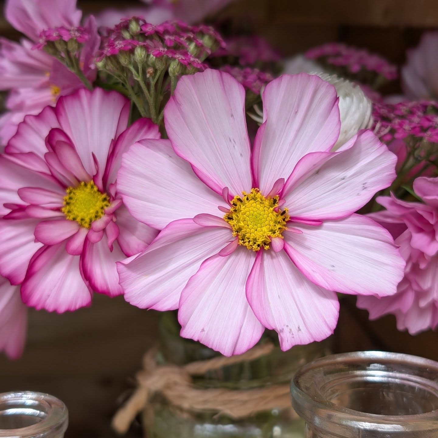 Happy Saturday People!
It's the local flower show today, so this afternoon you will mostly find me drooling over everyone's dahlia's. I've already had a sneak peak, and 😍😍😍
The farm stand is stocked with some beautiful blooms but more excitingly the most amazing original water colours and greetings cards by @barbaraleeartuk. Is it allowed if i just buy them all and put them on my wall?!
#britishflowerfarm #britishflowerfarmer #countrysidelife #countryside #flowers #flowerfarm #chewvalley #valleybloomsflowerfarm #organicflowers #cutflowers #valleyblooms #flower #flownnotgrown #countrylife #dahlias #britishdahlias #bouquet #farmstand #artwork #watercolour #nature