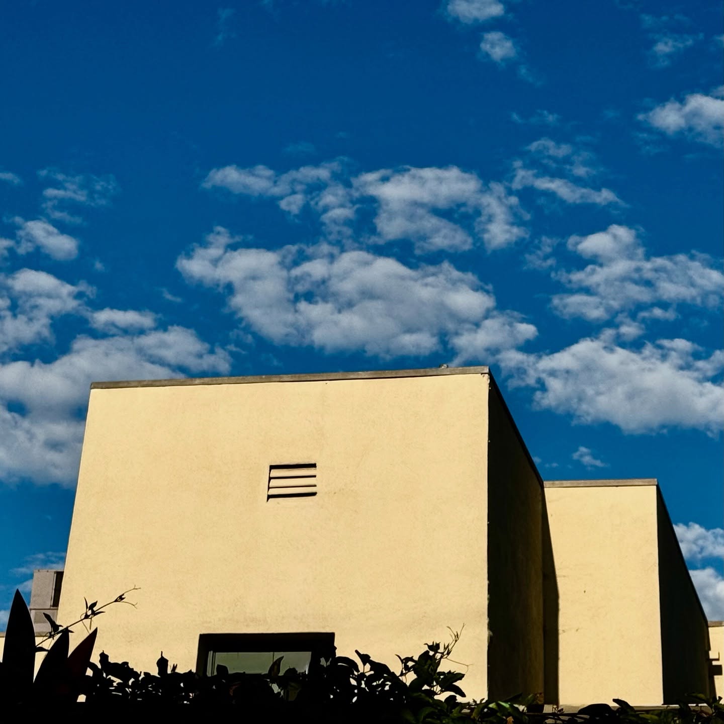 Who needs plumb walls when you can have a trapezoid.
#bollmanhouse #lloydwright #architecture #restoration #textileblock #oldhollywood