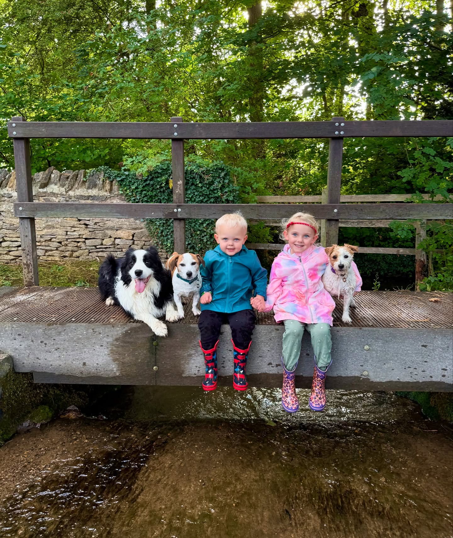 The Jackcamb Fam ❤️🐶
#mykids #mybabies #jackcambjrt #jackcambdogs #teamjackcamb #walkies #jrt #bordercollie