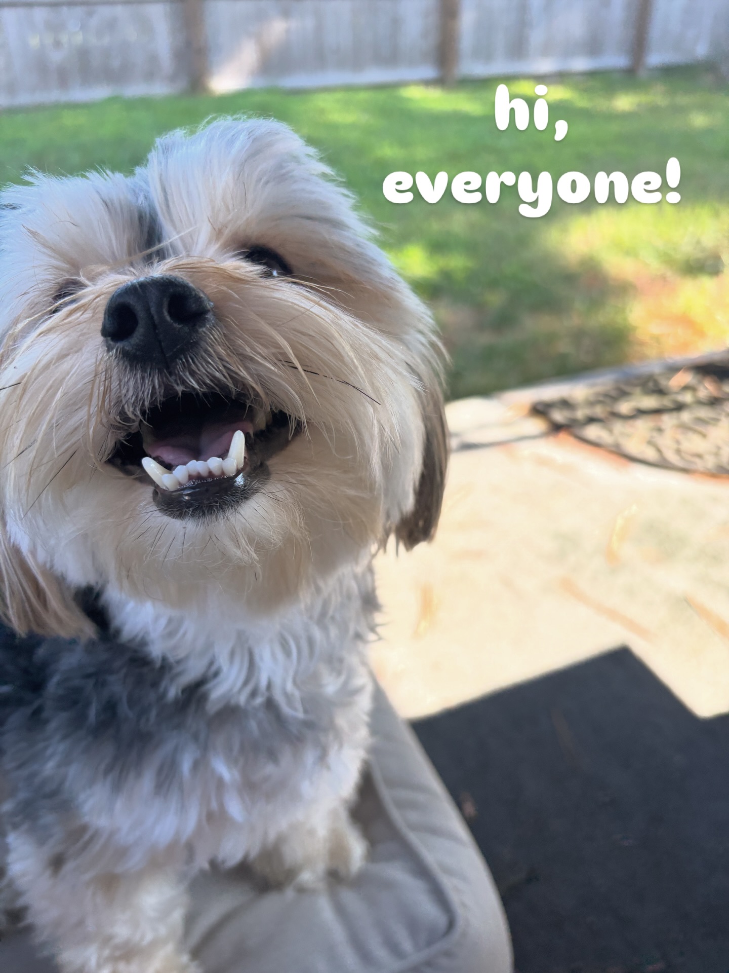 ralph here with a very important message 🐶🐾💌
pet portraits are 50% off until august 31st! just a few more days left to snag the best deal… you save $30 AND get a one-of-a-kind piece of artwork of your best friend🥰 shop now at TheKreativeKiwi shop on etsy!!
.
.
.
#PetPortrait #DogPortrait #Sale #Etsy #NationalDogDay #DigitalGift