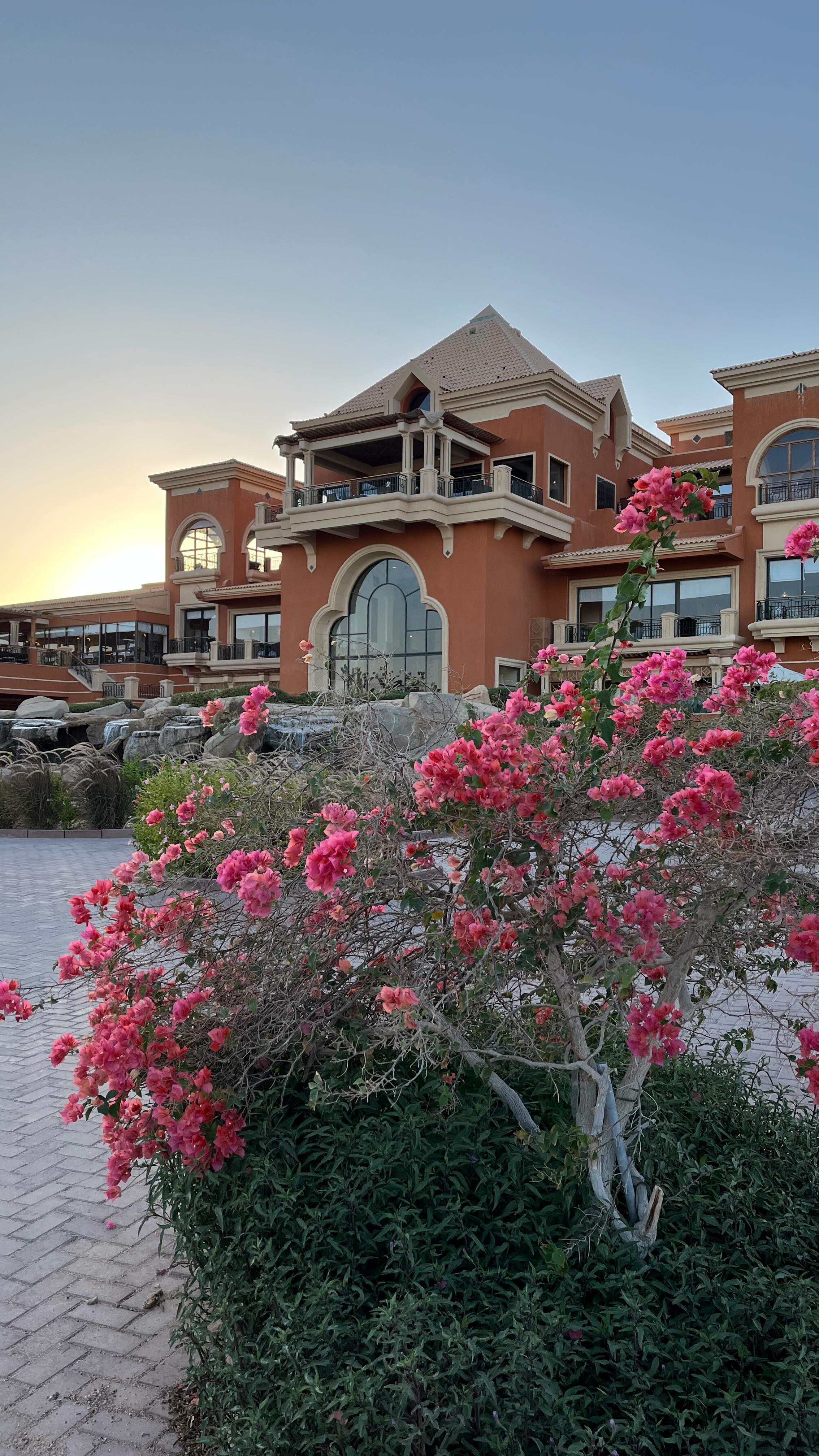 So wonderful place to be @thecascadesgolfresortspa which offer not only a wonderful view on all the @somabayredsea bay but also on the beautiful @somabaygolfofficial designed by @gary.player
@golfpleasuretaste has the honor to be a private Tour Operator for those who want to access to this facilities, also if you are not a golfers :)))🏌️
We are happy to announce a Ladies Golf Group in collaboration with @physiogolfmarbella in January 2026! #golf #golfers #ladiesgolf #golfing #golfer #golfclub #golfhotels #golfcourse #golfteam #golfaddict #redsea #redseaegypt
Thank you Dear @ehabalymohammed for having accompanied me during this wonderful time! We did a great job 👏 Inshallah 🙏✨✨✨