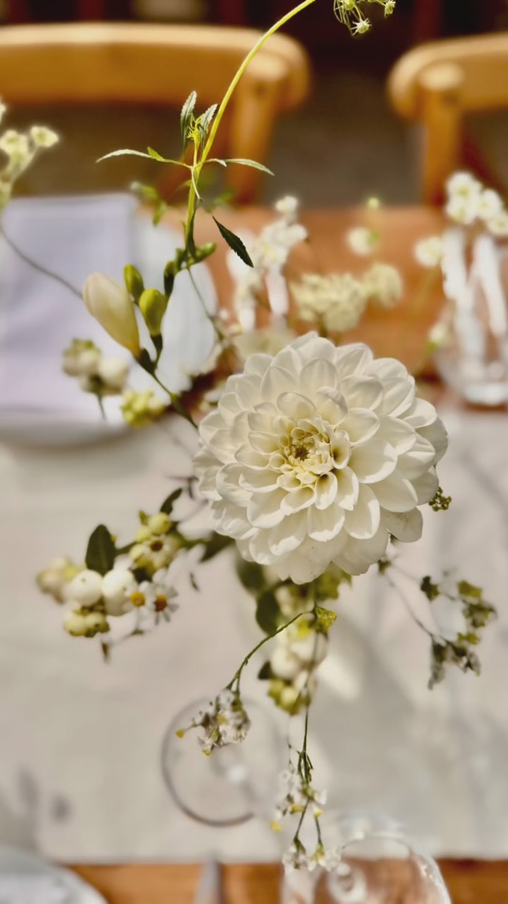 Bud vases though the centre of trestle tables in the Rose Garden at @estatekingston Thursday, 28th August 2025
#totnesflorist #devonflorist #naturallyabundant #devonwedding #timelessweddings #countrywedding #englishgardenwedding #luxeweddings #luxetablescapes