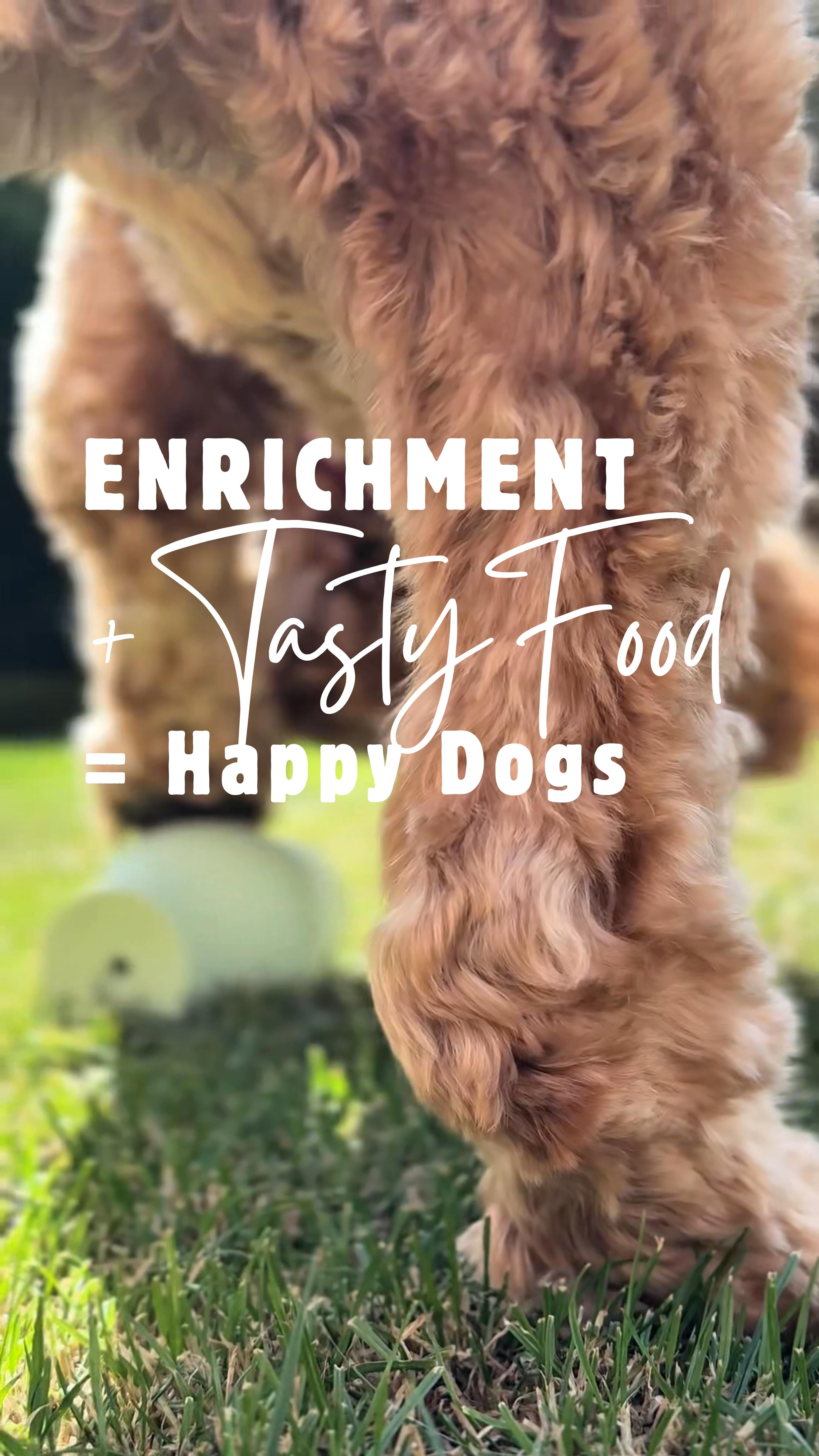 Keeping mealtime fun doesn’t just fill bellies — it nourishes minds too! 🌿
Today we paired Platinum Dog Food with the Earth Rated enrichment toy, and let’s just say… tails were wagging and noses were busy! 🐕🍽️
💡 Enrichment feeding helps:
✔️ Slow down fast eaters
✔️ Reduce boredom
✔️ Boost mental stimulation
✔️ Make mealtime exciting
As proud Platinum Ambassadors, we love showing off food that’s not only tasty but full of goodness too. 🥩💚
Because happy dogs = happy humans. 🥰
👉 Do your pups love enrichment feeding?
#dogenrichment #dogenrichmentactivities #happydogshappylife #platinumdogfood #platinumambassador #earthrated #dogparents