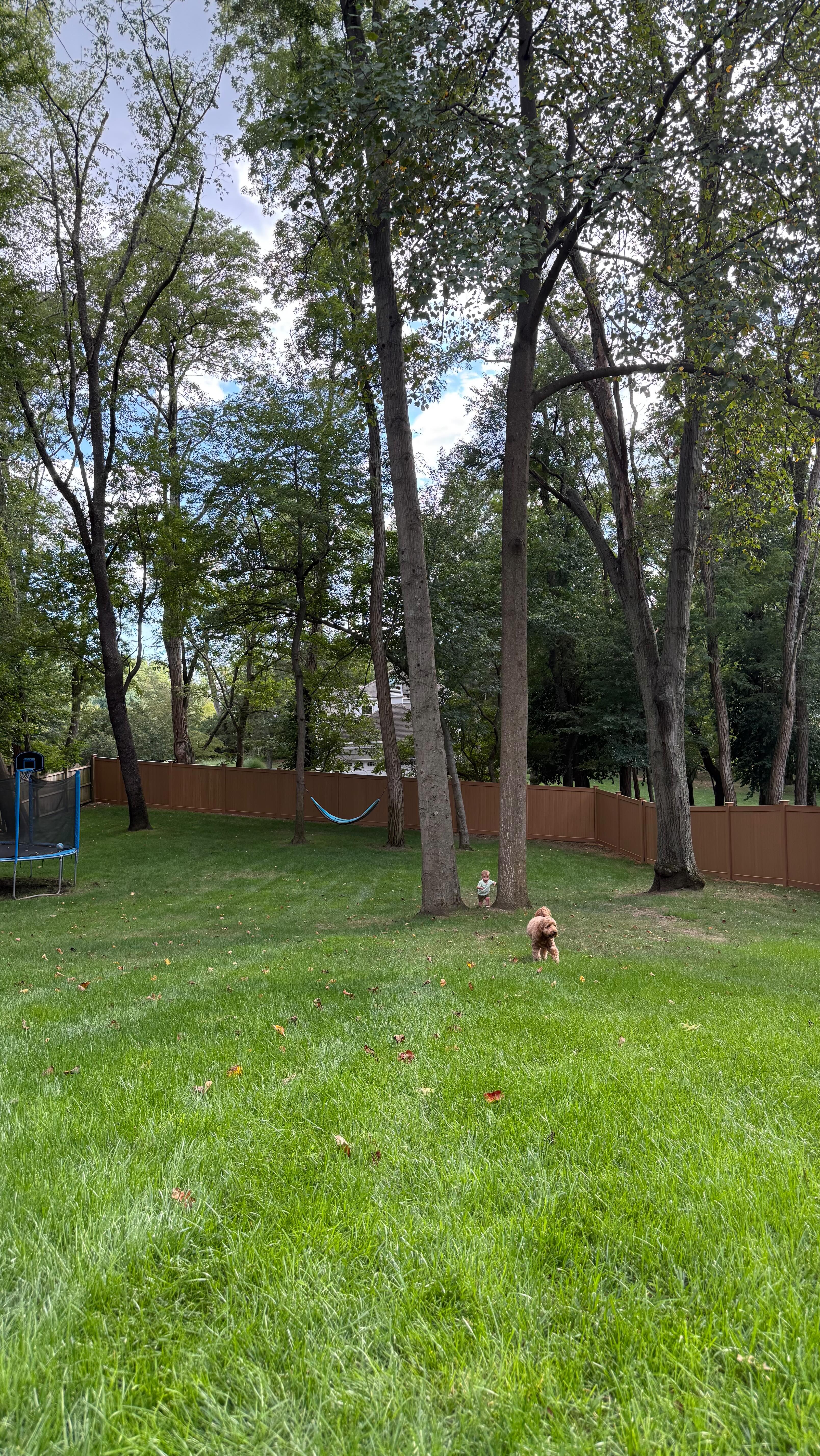 Some days, you’re guiding little feet down the hill.
Some days, you’re carrying the weight of the climb.
And then one day… you let them go as they explore on their own.
Raising them means walking beside them — through wobbles, wins, and everything in between.
And yes, that means emotions will wobble, win, and feel everything in between too.
Here’s to you for showing up, holding on, and letting go all at one step at a time.
#motherhoodunfiltered #twinmomlife #slowmotherhood #realmoments #mommoments #parenthoodmoments