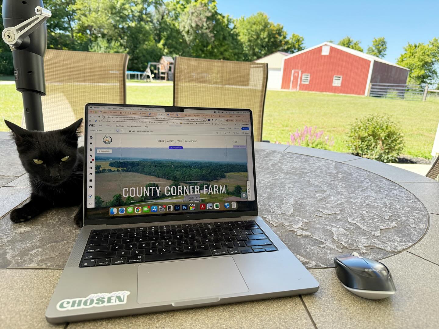 It’s a beautiful day for a website redesign! 💻☀️
Our farm has grown and evolved since our launch two years ago, so it’s time to reenvision our digital front door. Hope to launch it soon!