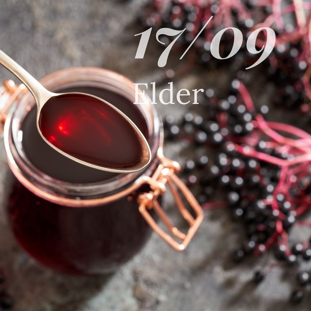 🌿 Herbalism Workshop Series: Where Art Meets Science🌿
One herb. Two perspectives.
For thousands of years, plants have been understood in two ways: Through the felt experience in the body, and later through the measured knowledge of science. In this monthly immersive workshop series starting in September - we bring these perspectives together.
Join Shamanic Practitioner Sue Marcantonio-Edwards & Medical Herbalist Abi Jackson for a sensory herbalism workshop that blends shamanic tradition with modern herbal science.
Sip, feel, and connect to a chosen herb’s presence in your body — then uncover its fascinating scientific story and how to use it.
Session Dates, Times & Herbs:
17/09/25 - Elder, 5:30-7:30PM
15/10/25 - Dandelion, 5:30-7:30PM
12/11/25 - Mistletoe, 5:30-7:30PM
This is herbalism that engages both sides of knowing — the intuitive and the analytical — so you leave not just informed, but connected. 💫
Places are limited so if you’d like to know more hit the link in the bio! ❤️🌿