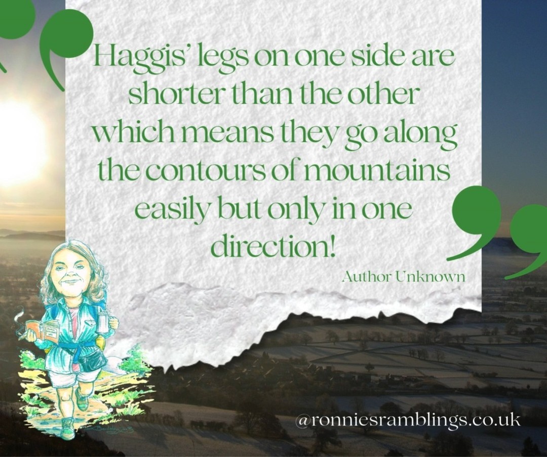 ✨ Weekly Smiles from Ronnie ✨
Ronnie’s notebooks are little treasure chests of joy, eccentric wisdom, and unexpected giggles — just the thing to brighten up your day!
#WeeklySmilesFromRonnie #RonnieQuotes #notebooklove #ronniesramblings #ronniesgifttous