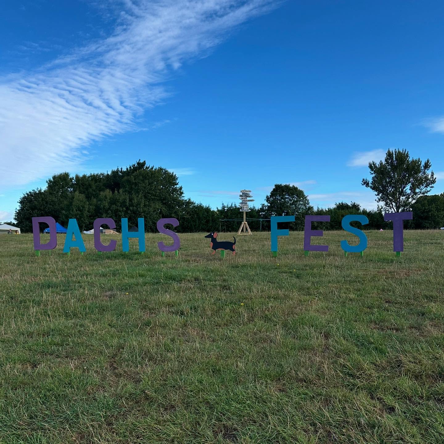 Great day at @hampshiredachsfest meeting plenty of new Daxie friends!
Well done to everyone who braved the rain, it was lovely to meet you all! 🐾