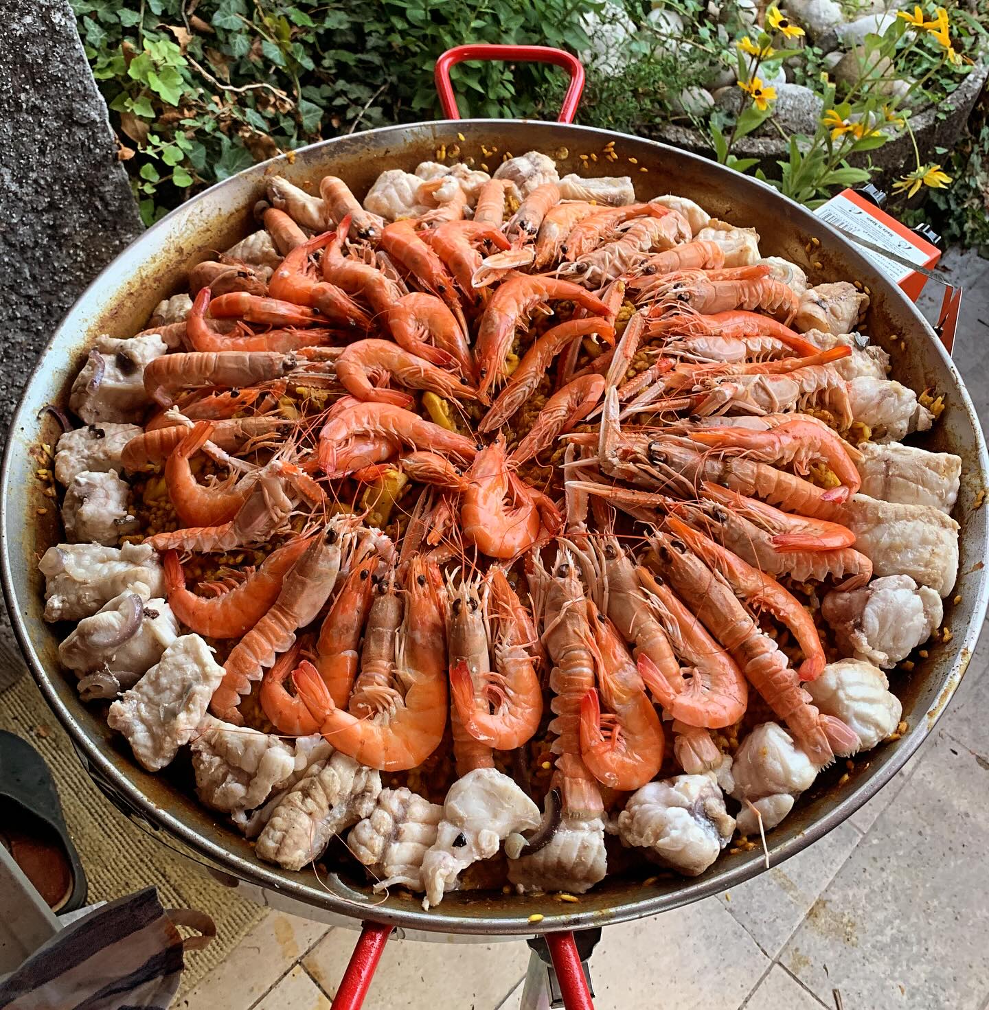 La #paëlla de la fin août ! C'est une tradition chez nous de fêter en famille les *nombreux* anniversaires de fin août en une chouette fête ! Cette année c'était les 18 ans de ma nièce 😘😘 !! Et du coup une magnifiiiique paëlla !! Bravo les cuistos 🥳🥳.
#BonAppetit !
.
+ de 170 recettes et astuces sur
www.delicieuxsanssucre.com
Ou lien cliquable dans ma bio @delicieuxsanssucre
.
.
.
.
#Transformezvotrealimentation #alimentationIntuitive
#MangerMieux #MieuxManger #Alimentation #AlimentationSaine #Flexitarien #FaitMaison #DansMonAssiette #MangerSain #MangerSainement #cestropbon #EquilibreAlimentaire #ReequilibrageAlimentaire #DelicieuxSansSucre #IgBas #IndexGlycemiqueBas #RegimeIgBas #miam #miamMiam #VraimentSain #SansGluten #gourmand #Bio