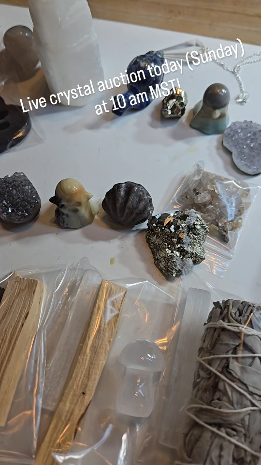 Join us at 10 MST today for live auctions starting at $1 - crystals, diy kits, and jewelry! https://whatnot.com/live/a1315bdb-9ba1-4677-927d-b5913a5399f1?app=android&sender_id=27358317