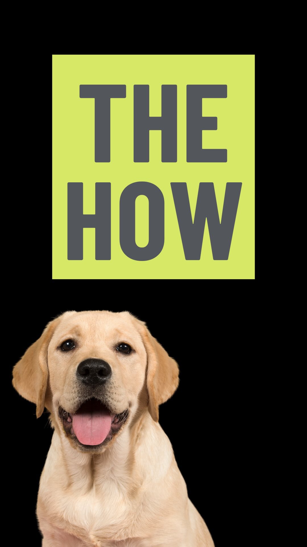 The path forward starts here 👉 Explore our new site to learn more & get started today #TheHOW