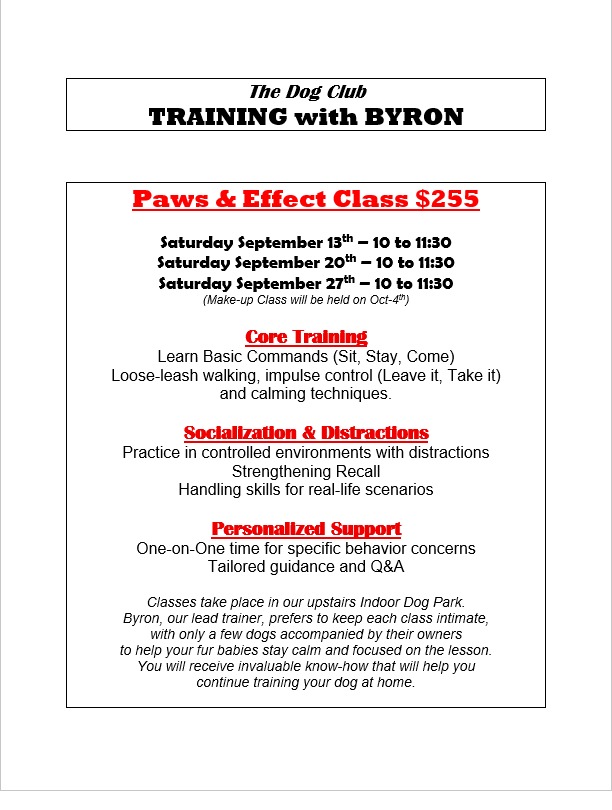 We’re excited to annouce another hands‑on training experience with our trusted trainer, Byron.
🐶 Paws & Effect Class — $255
Three Saturday sessions designed to strengthen skills, build confidence, and make your walks (and your life!) a little easier.
Class Dates
Sept 13 · 10:00 – 11:30 AM
Sept 20 · 10:00 – 11:30 AM
Sept 27 · 10:00 – 11:30 AM
(Make‑up session: Oct 4)
What your pup will learn:
Core Commands: Sit, Stay, Come
Manners on Leash: Loose‑leash walking & impulse control (Leave it, Take it)
Calm Focus: Techniques to help your dog settle in stimulating environments
Social Skills: Safe practice with distractions & real‑life handling
Personal Support: One‑on‑one guidance for your dog’s unique needs
With Byron’s expertise and approachable style, you’ll gain practical tools you can keep using long after class ends.
📍 Training will take place at The Dog Club
Spots are limited — Call us at 406-890-2220 to reserve your place.
Let’s help your pup put their best paw forward.
— The Dog Club Team
thedogclubkalispell.com