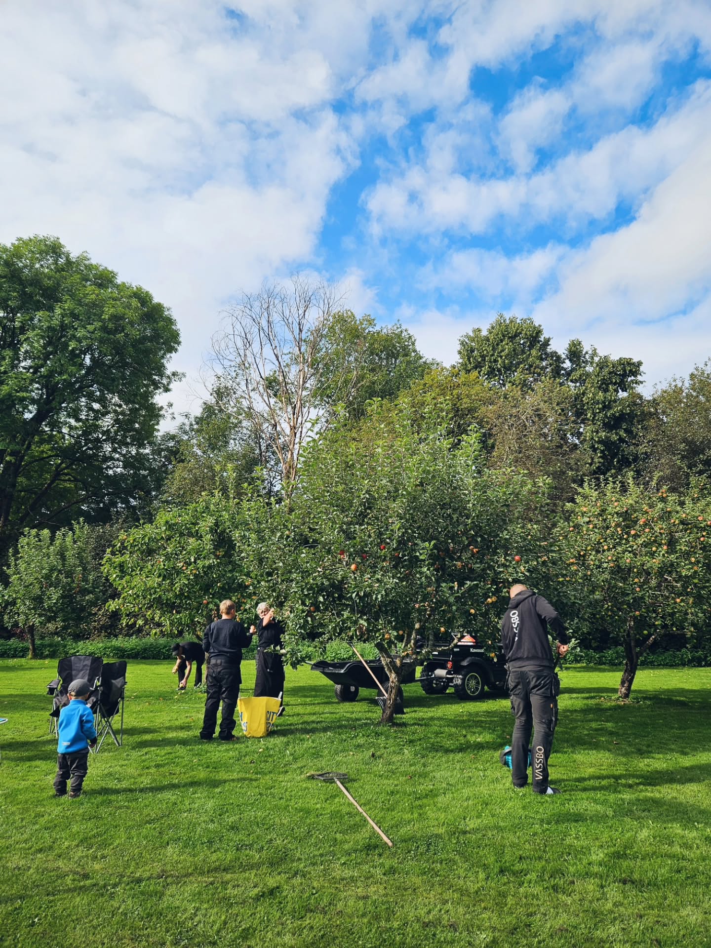 Den årliga äppelplockardagen på Vassbo 🍏
Trots väldigt mycket sämre äppelår än vad vi är vana vid fick vi ändå ihop ca 1 ton äpplen tack vare vår stora äppelträdgård. Nu ska det mustas och mosas för att kunna serveras under det kommande året.
Återigen - tusen tack till vår familj som ställer upp med kraft, kärlek och glatt humör ❤️🍎
.
.
.
#äppelmust #svenskaäpplen #vassbologiochevent #vassbovandrarhem #vassboäpplen #stfturist #visitdalarnasweden #äppellund #skördetid #applecider #dalaäpplen