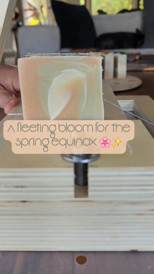🚨 Soap drop alert! 🚨
This is a one-off, super limited batch – no restocks, no repeats.
If you miss it… it’s gone forever 👀✨
#LimitedEditionSoap #CatchItWhileYouCan #SmallBatchMagic #EquinoxBodyAndHome