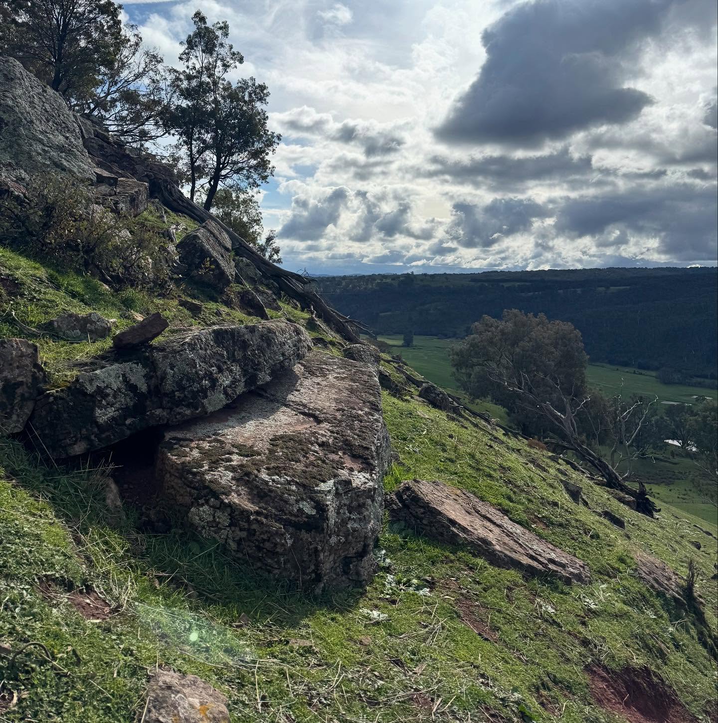 MCPA season has kicked off in the Mansfield Shire. The T25 is the best tool for this steep country, nothing else comes close! #djiagras #djit25