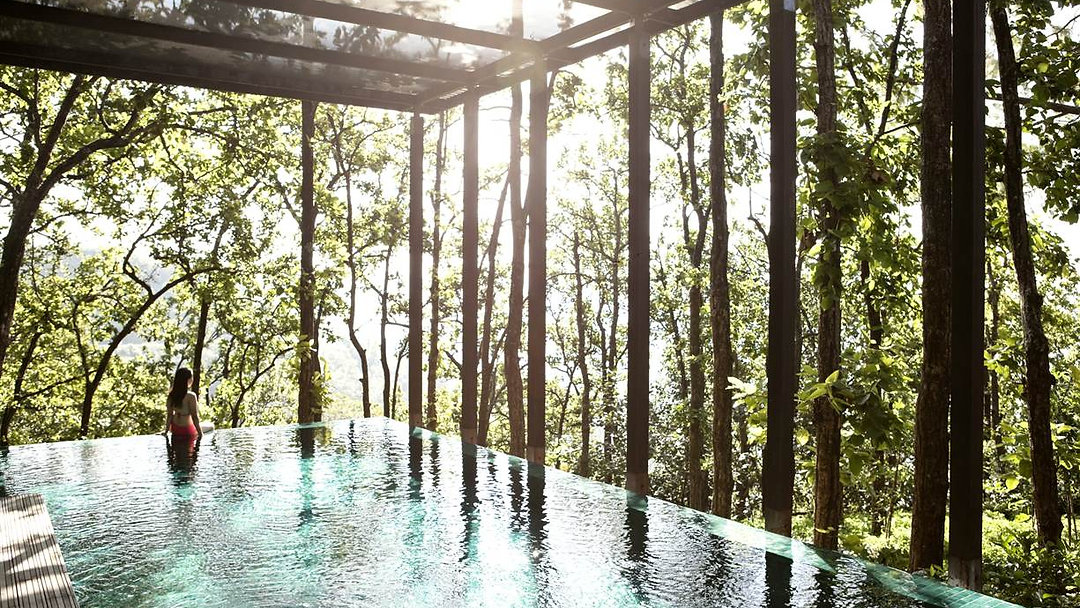 Nature's Therapy: Exploring the Forest Bathing Trend. The Wellness Resort Ritual Transforming Stays Into Serenity.
Feeling overwhelmed by the hustle and bustle of life? Immerse yourself in nature with forest bathing – a rejuvenating trend that promotes mental wellness and relaxation. Start your journey towards tranquility. Link in Bio
#WellnessResorts #ForestBathing #WellnessDesign #WellnessRetreat #ConsciousArchitecture #SustainableLiving #MindfulSpaces
@blackberry.mountain
@eremitohotel
@sundanceresort
@hoshinoya.official
@mosslifestyle_magazine