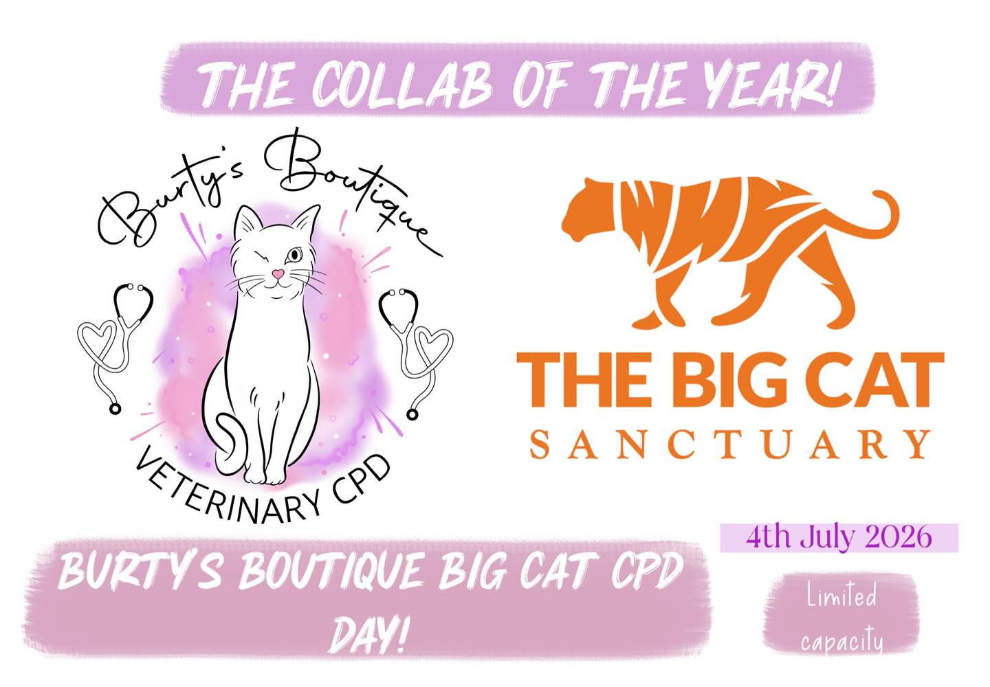 Burty’s Boutique is teaming with the Big Cat Sanctuary to hold a roarsome CPD Day for you! 😻😻 This has been a LONG time in the making and we are SO excited! We have a full day of feline themed CPD planned for you- PLUS- you get to explore the whole sanctuary and see all the big cats, you can also grab raffle tickets with the prize of hand feeding one of the big cats- PLUS lots of yummy food, Burty’s Boutique stalls- and the usual fun of a Burty’s Boutique CPD Day! 🐆 Tickets are VERY limited- they are available now on our website along with the whole programme and speaker list! Please note….this event is only for Veterinary Professionals- see terms and conditions on our website 👀🐾🐯🐅. The Big Cat Sanctuary is an extremely special venue- they are not open to the general public, and they are truly amazing at what they do- they have recently rescued lions from war torn Ukraine- building them a brand new, beautiful space to live in and we are honoured to hold our CPD Day with them 💕💕🦁