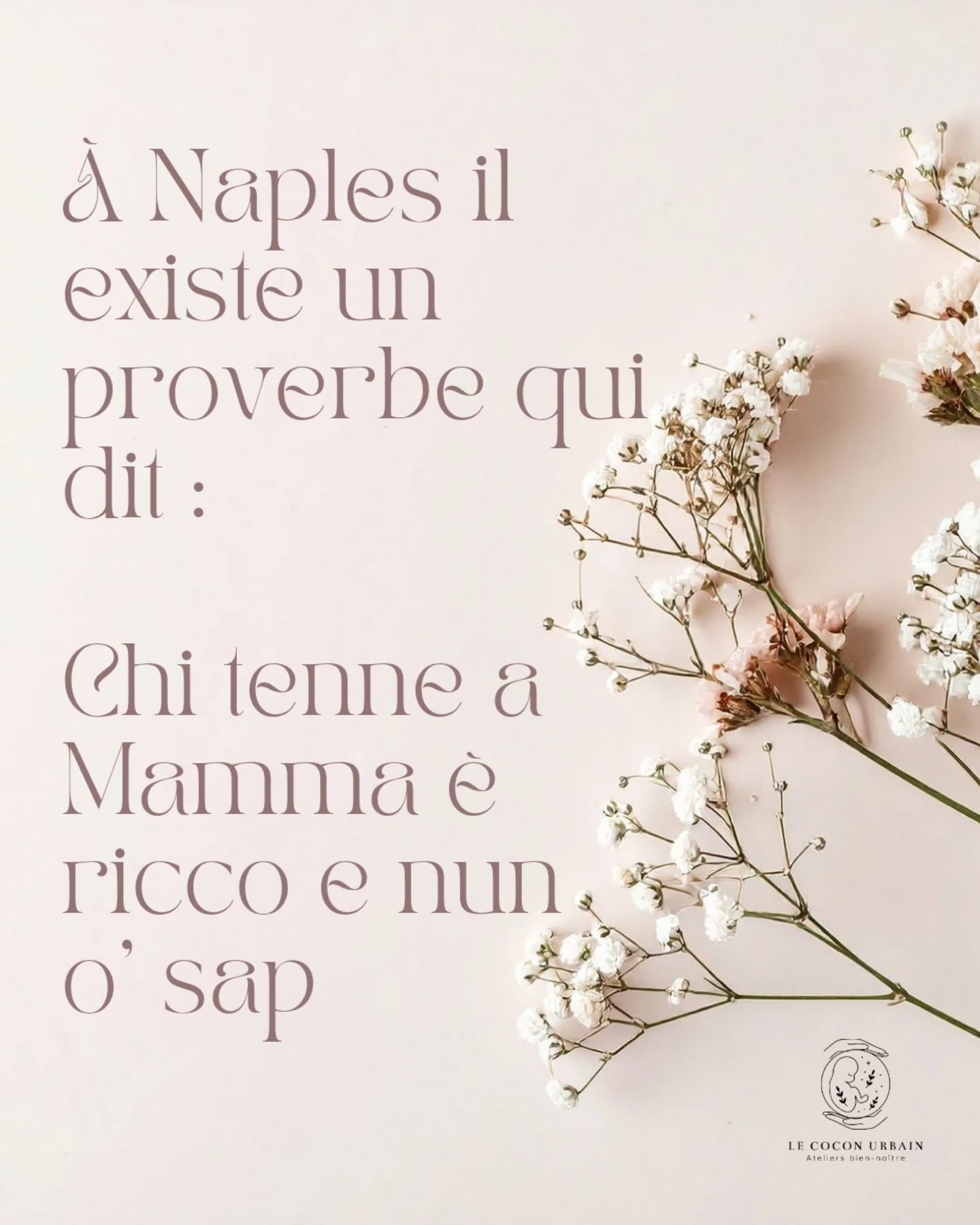 💖 À Naples on dit : Chi tenne a Mamma è ricco e nun o’ sap
Celui qui a une maman est riche, même s’il ne le sait pas...
✨À toutes mes petites mamans, n’oubliez jamais : vous êtes leur plus grand trésor.
Et toi peut-être connais tu un proverbe autour de la maternité ?
Maman maternité proverbe citation mumlife parents parentalité bébé grossesse richesse amour amour maternel