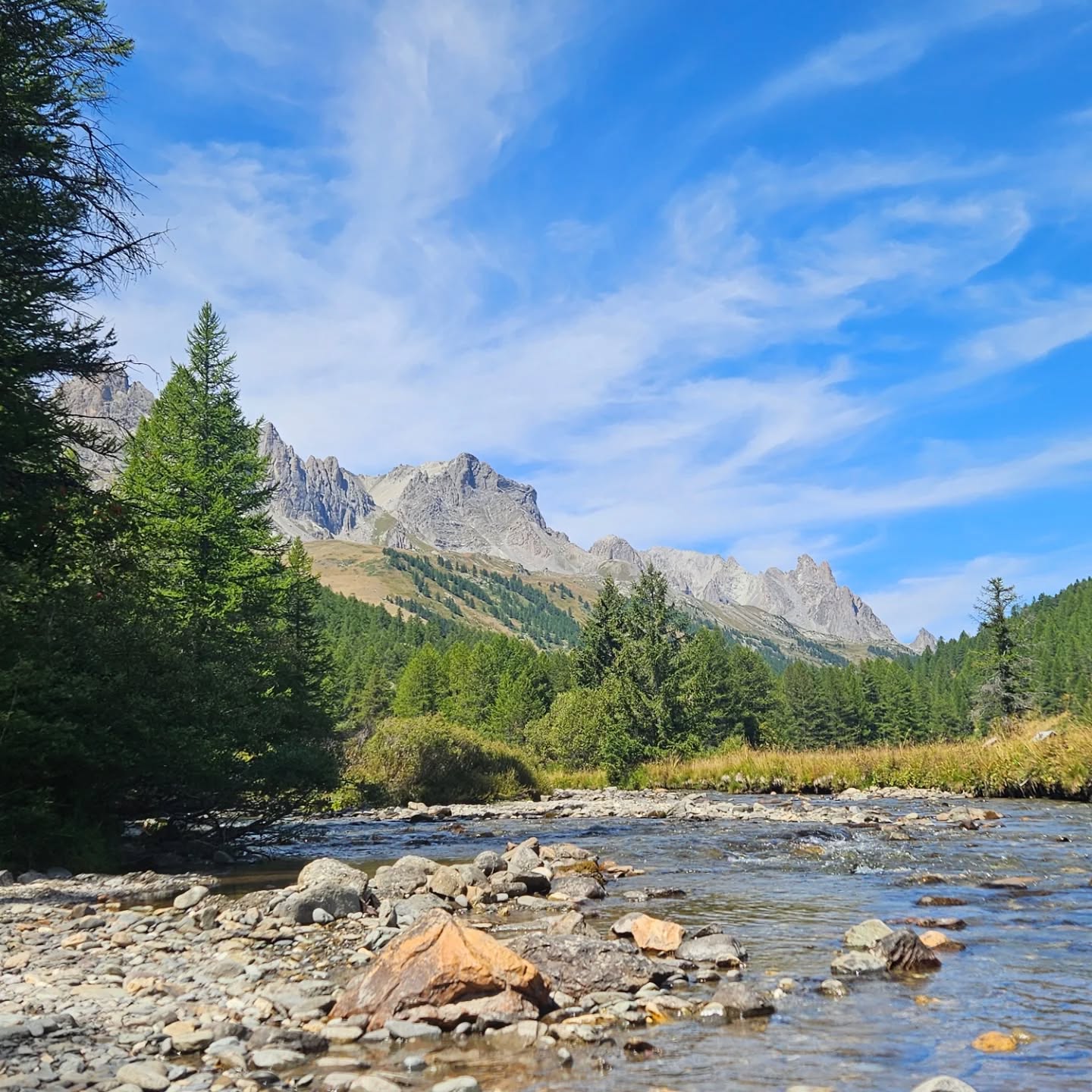 💚 Met een vol hart kijk ik terug op de tocht die ik deze week mocht begeleiden. Wat een voorrecht om getuige te zijn van zulke diepe groeiprocessen van een groep warme, open mensen. ☘️
Ik ben zó dankbaar voor de prachtige samenwerking met mijn geweldige collega @kareny.borremans 🙏, voor het lef van de deelnemers om het proces aan te gaan, voor de natuur die telkens opnieuw de perfecte bedding biedt voor transformatie en verstilling.
Mijn hart is vol. Mijn ziel gevoed. 🧡
🌄 Voel jij je geroepen door deze natuur en deze reis naar binnen?
In oktober (18/10 - 25/10) is er nog één plekje vrij… misschien wel voor jou.😉
💬 Neem gerust contact op via www.passagetochten.fr of stuur me een berichtje in de chat.
Liefs,
Karlien
📸♥️Yulfriana
#Dankbaar #Passagetochten #Natuurtherapie #PersoonlijkeGroei #SamenOpPad #Verbinding #InnerlijkeReis #psychologen