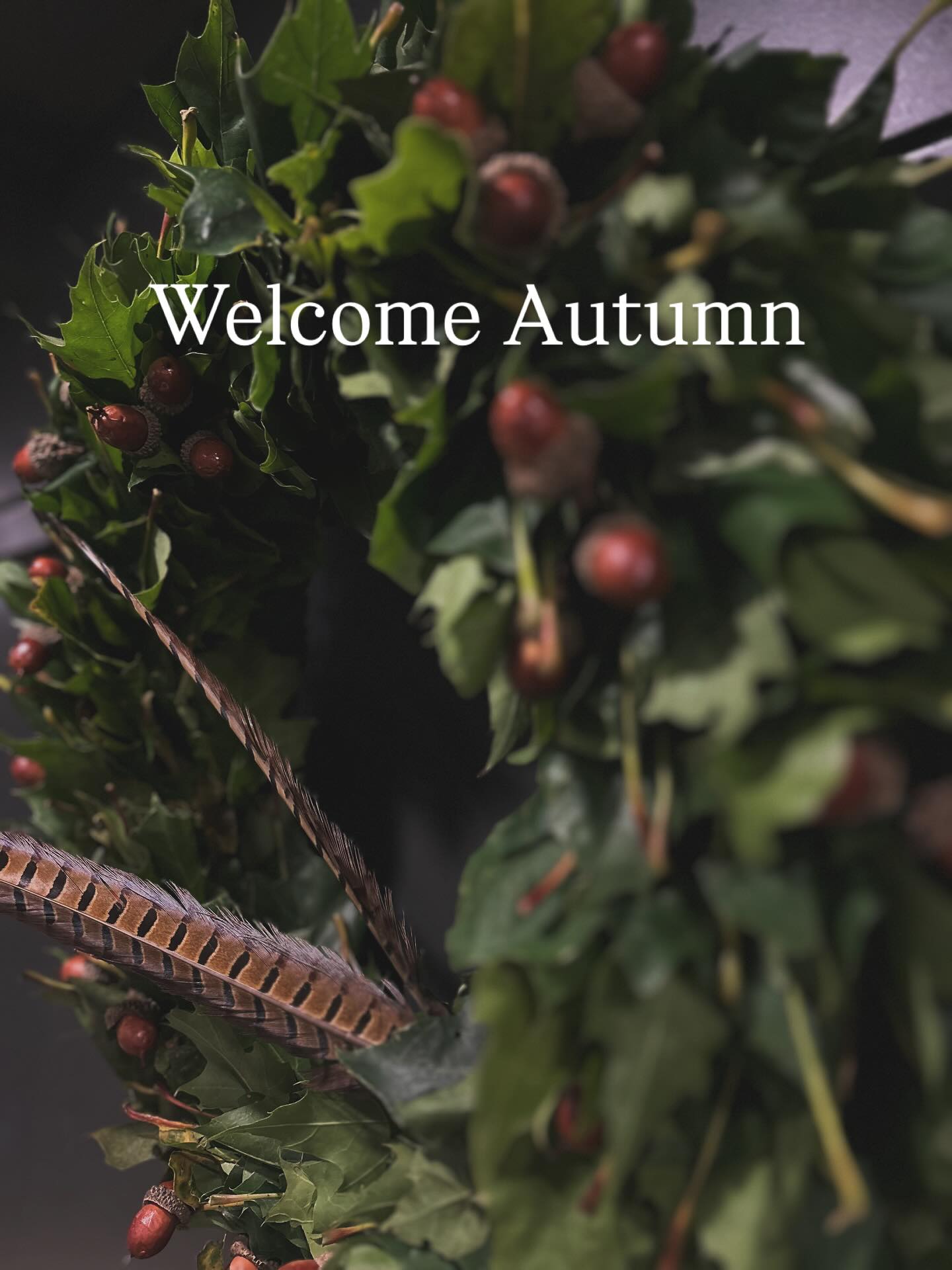The seasons are changing and we are ready to welcome autumn. Beautiful fresh autumn Oak & Acorn door wreathes available #galway #doorwreath #freshwreathes #autumn #yes_flowers