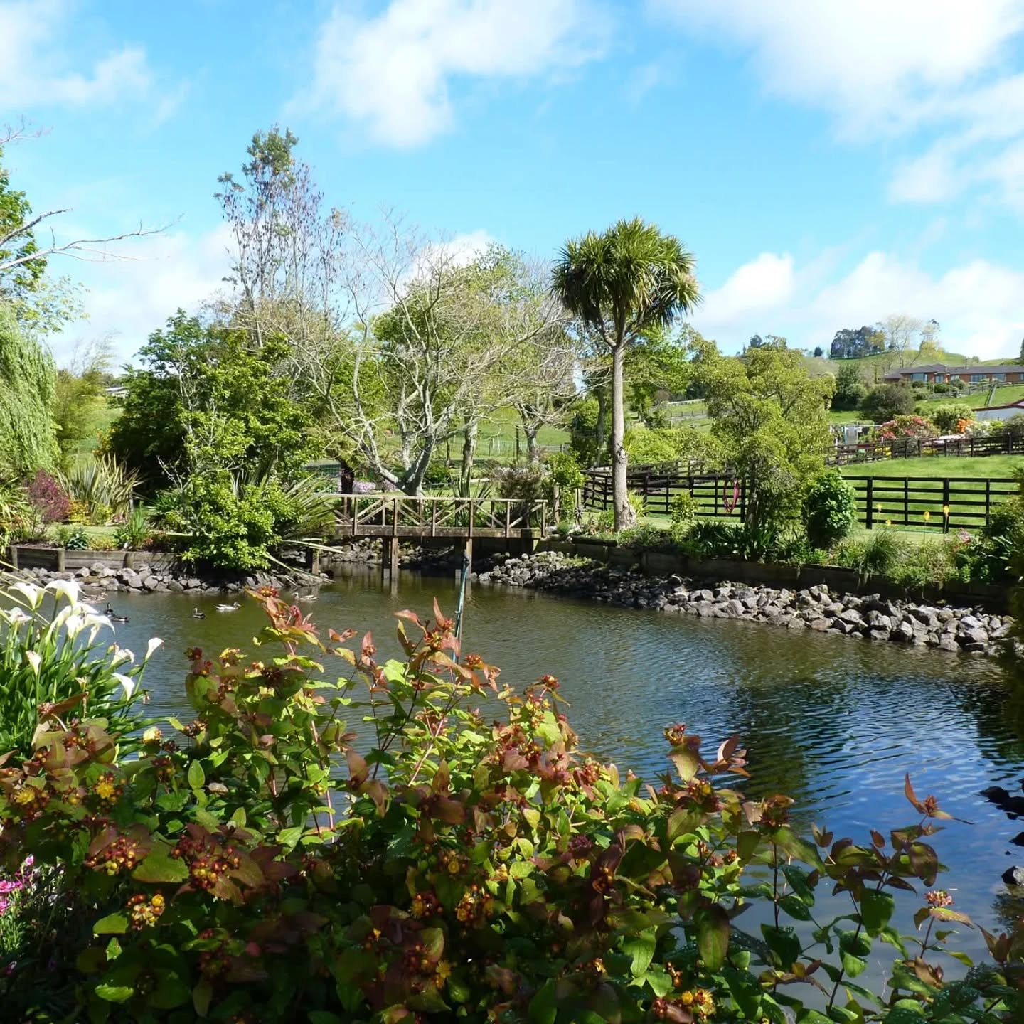 ๐ธ TICKETS ARE ON SALE NOW!! ๐ธ
Get your tickets for the Rotorua festival of Gardens Nov 14th,15th & 16th 2025 via our website and spend a day or 3 exploring fabulous gardens throughout the Rotorua region.
We have over 40 incredible gardens to visit,
20 of those are new to the festival this year.
Some will have live entertainment, product demonstrations as well as - art, crafts, plant and food stalls within them to purchase from.
We have re-introduced the one day passes this festival, so if you only have a day to spare you can still enjoy these stunning gardens
Tickets on sale now via our website www.rotoruagardens.org.nz or from Palmers
#rotorua #rotoruagardenfestival #gardensnz #nzgardener #nzgardens #nzgardenfestival #rotoruaevents #rotoruathingstodo #rotoruafestivalofgardens
*Photos may be of Gardens from previous festivals