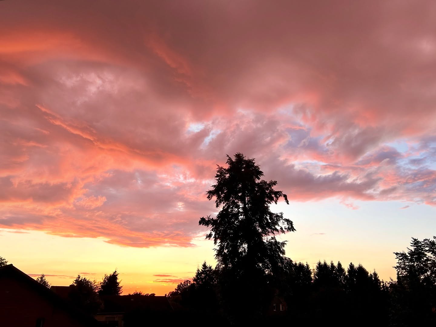 Was für ein Abendhimmel… 😍😍😍
.
.
#beautifulsunset #beautifulsunsetsneedcloudyskies #sunsets_oftheworld #abendleuchten #himmlisch #himmlischerhimmel #abendrot #abendbrotimabendrot #whatasky #justwow #beautifulsky #sonnenuntergang🌅❤️ #prignitz #soschöneslicht #pinksky #godsgifts #meetinggod #mostbeautifulsunsets #cloudysky #himmelsleuchten #derhimmelbrennt #beautifuleveninglight #eveninglight #colorfulsky #dramaticskies