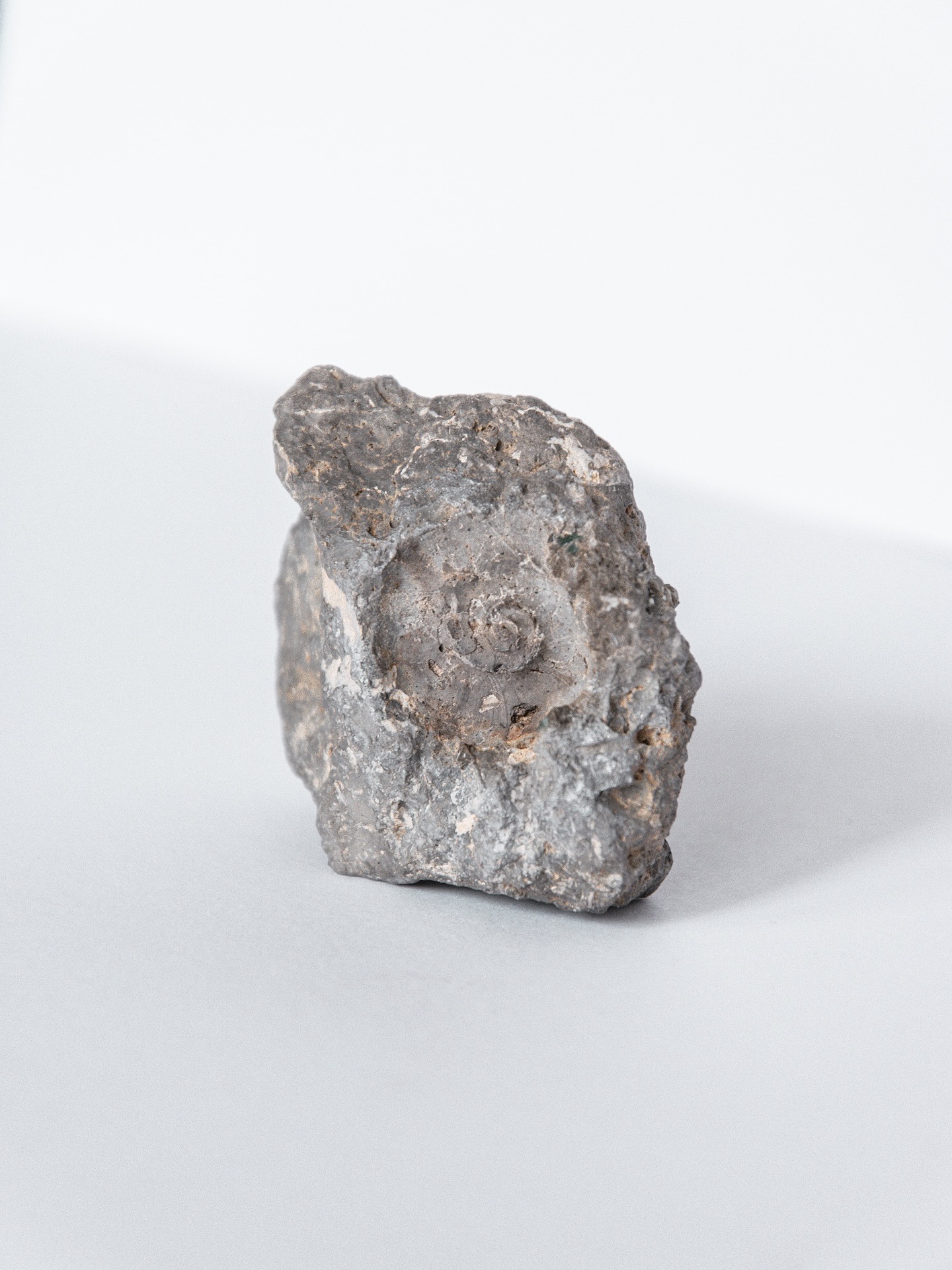 — Tout le monde collectionne quelque chose.
Certains les sneakers.
D’autres les timbres.
Moi ? Les cailloux perdus, les bouts de verre oubliés, les fragments que personne ne regarde.
— Et si c’étaient eux, les vrais trésors ?
✧ Swipe pour voir comment un fossile banal devient empreinte éternelle et abonne-toi pour découvrir le bijou !
👉 Et toi, tu gardes quoi dans tes poches que personne ne comprend ?
#FormaPrima #BijouxEmpreintes #FragmentsDuMonde
#BijouPoétique #BijouArtisanal #BijouContemporain
#ObjetsTrouvés #BijouxSculptés #EmpreinteDeLaNature
#BijouExploratoire #BijouxTexturés #BijouÀHistoire
#BijouInspirationNature #SculptureÀPorter #MémoireDeMatière
#BijouxFaitsMain #BijouxDeCréatrice #BijouSensitif
#CarnetDeFragments #BijouPoétique #ObjetsTrouvés #MémoireDeMatière #BijouTexturé #BijouxDeCréatrice #BijouEmpreinte #bijouammonite #ammonitejewelry