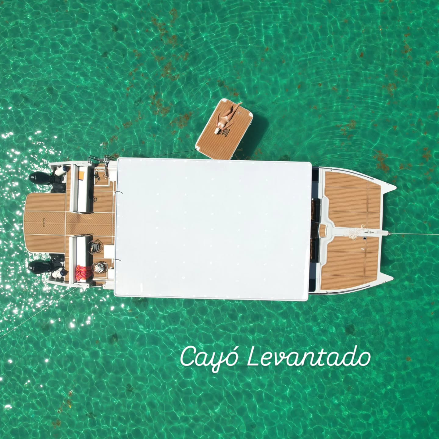 Enjoy all the treasure of Samana and taste a new experience on board our Prestige Boat El Andiamo with the exceptional Cayo Levantado and finish at the Sunset spot by the bridges.
Live typical moments playing domino, tasting Ron and eat a local picadera (snack) made by local artesans.
You will love Samana
#samana #dominicanrepublic #LasTerrenas #luxuryboat #luxuryvilla #yacht #marina #sunset #Bahia #PuertoBahia