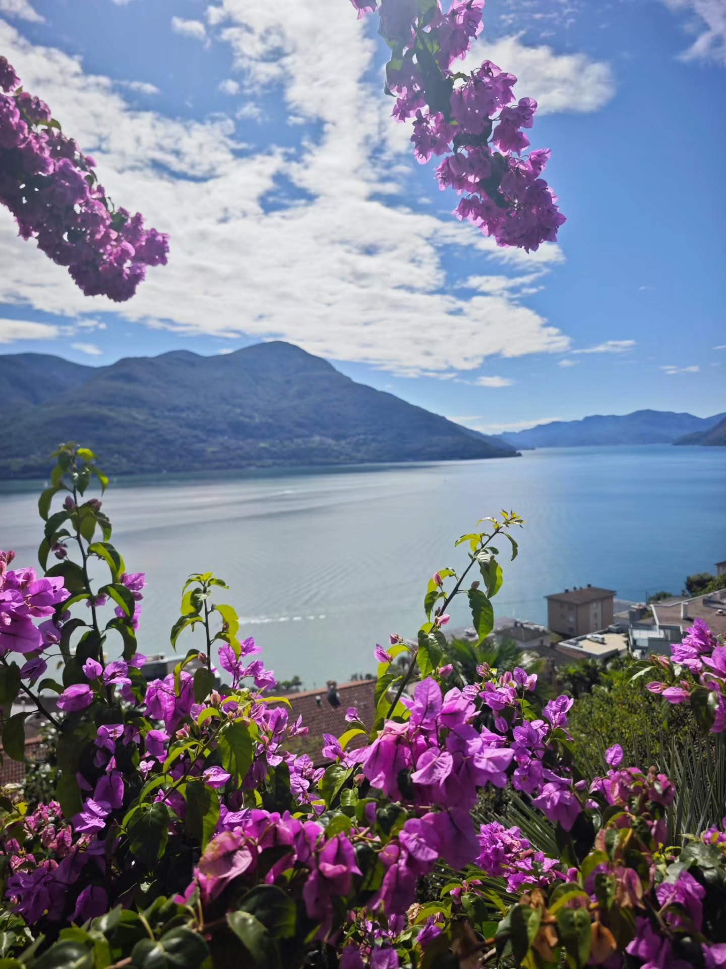 Come and enjoy delicious food and pure relaxation in the beautiful gardens, with breathtaking views over Lake Maggiore, at the Garden Hotel Brenscino in Brissago.
---
Vieni a gustare un’ottima cucina e a rilassarti nei meravigliosi giardini, con viste mozzafiato sul Lago Maggiore, al Garden Hotel Brenscino di Brissago.
---
Kommen Sie vorbei und genießen Sie köstliches Essen und erholsame Momente in den herrlichen Gärten mit atemberaubendem Blick auf den Lago Maggiore im Garden Hotel Brenscino in Brissago
#brissago #brissagoislands #visitbrissago
#visitticino #ticino #ticinoturismo #switzerland #switzerland🇨🇭 #travel #swiss #swissriviera #brissago4u #lake #boat
#fineartphotography
#swissalps #swissculture #loves_united_switzerland #switzerlandwonderland #got_greatshots #planet_earth_shots #suissebook #discoverthealps #discoverswitzerland
#mybrissago
@mybrissago
@lidobrissago
@tcbrissago
@bahiabrissagosnackbar
@cantina.giromit
#cantina.giromit
@aziendavitivinicolachiappini
#aziendavitivinicolachiappini