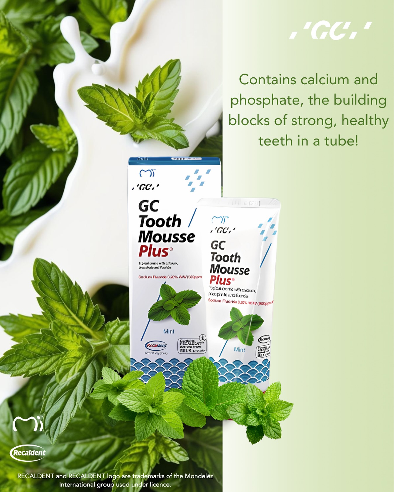 The building blocks of stronger, healthier teeth in a tube.Ā
GC Tooth Mousse⢠Plus contains calcium and phosphate, essential minerals found in natureās best source: cowās milk. Powered by RECALDENTā¢(CPP-ACP), a milk-derived protein, it helps to deliver these key nutrients directly to your teeth.
Tooth Mousse Plus contains the added benefit of fluoride āØ
Available in refreshing Mint flavour. Give your smile the protection it deserves!
ALWAYS READ THE LABEL AND FOLLOW THE DIRECTIONS FOR USE