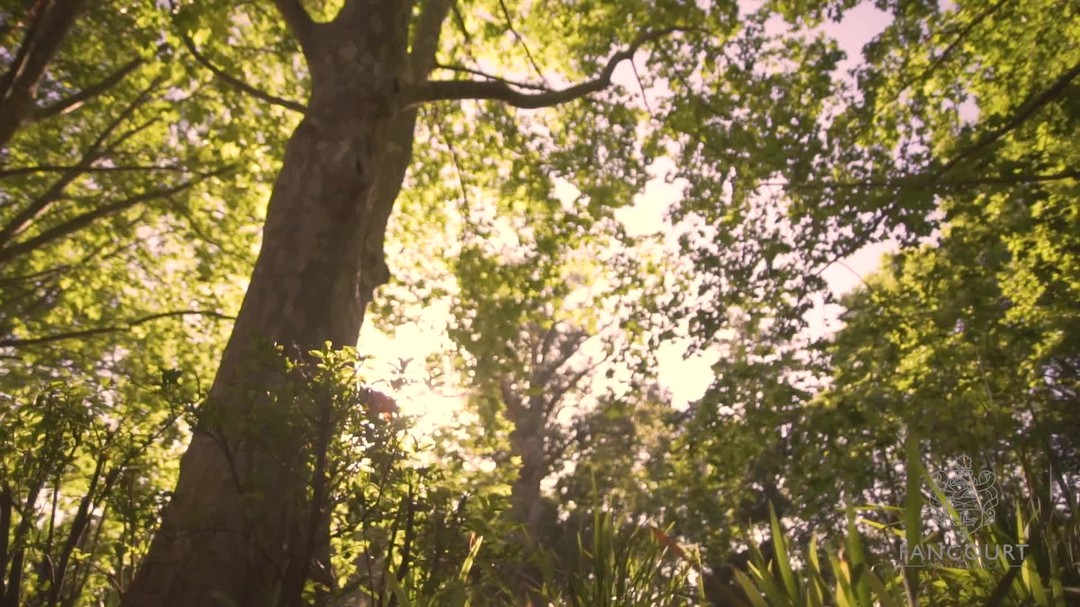 🌟 Discover the breathtaking beauty of Fancourt, South Africa’s award-winning golf resort! Nestled in the Garden Route, our stunning landscapes and world-class amenities await you. ⛳️ Ready for an unforgettable getaway? 🏌️♂️ Tee off in style at Fancourt! With two five-star golf courses and picturesque views of the Outeniqua Mountains, every swing is a new adventure. 🎉
💼 Exclusive Offers
🌍 Darrell James Travel
📞T: 0208 911 8889
📲Whatsapp: +44 7508 130140
📚Book an Appointment via Web:
👨💻Zoom: Travel Consultation Meeting
☎️ Phone: Schedule a call back
📆 Meeting: Book a one-to-one appointment
📧 Email: Mail@darrelljamestravel.co.uk
#DarrellJamesTravel #Luxury #LuxuryTravel #GolfLife #LuxuryTravel #Nature #GolfResort #GardenRoute #Fancourt