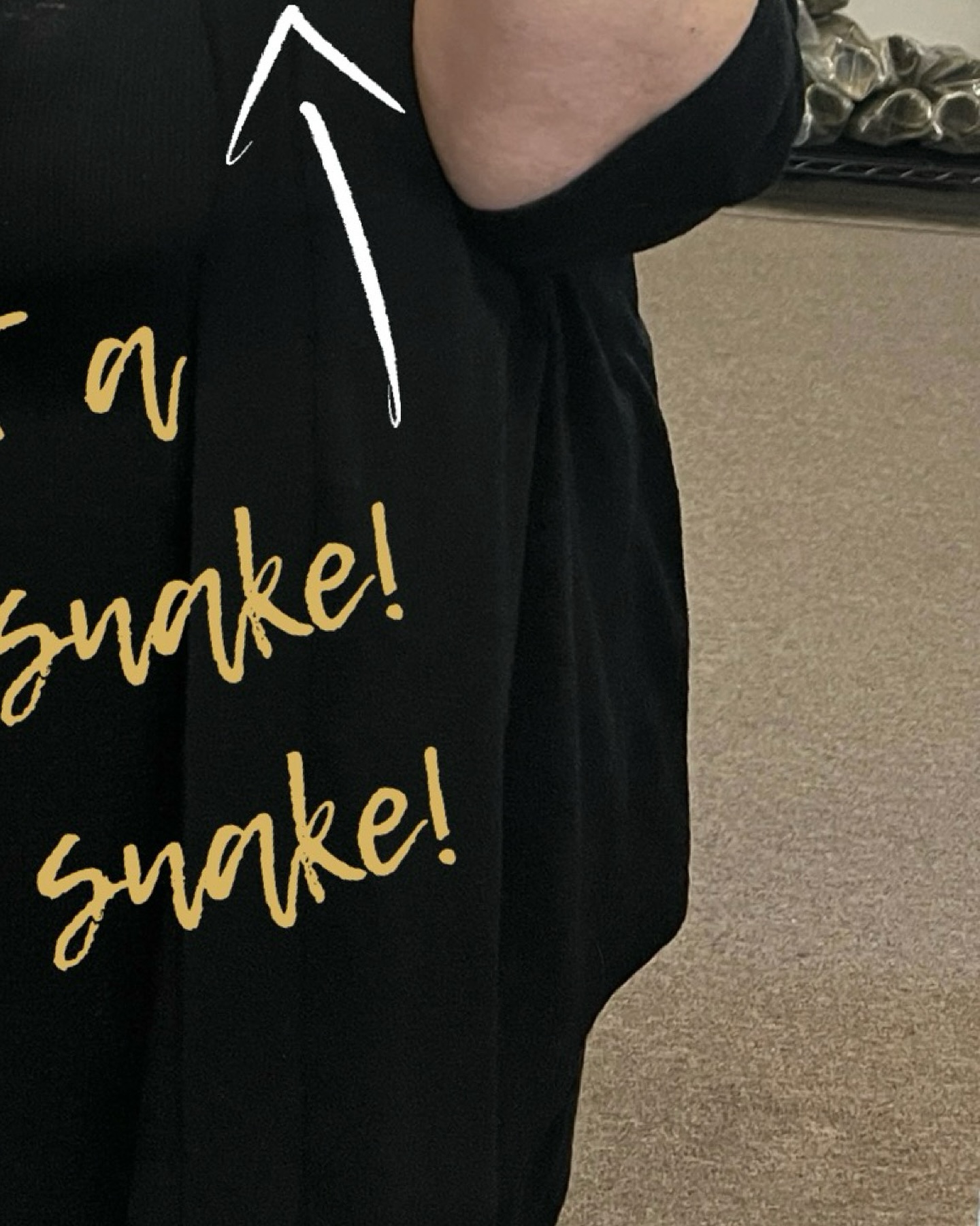 Did you know a group of rattlesnakes is called a rhumba? 🐍✨ Just like the dance, it’s full of rhythm and energy—though you wouldn’t want to join this dance floor!
#gatherofgatherings #rhumbaofrattlesnakes #collectivenouns #podcast #naturefacts