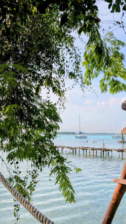 Vivre ce moment, c’est me rappeler pourquoi j’ai choisi cette vie. 🌍✨
Voyager, créer, rencontrer, partager… et surtout inspirer ceux et celles qui sentent l’appel de plus grand.
On n’est pas ici pour survivre, mais pour vibrer, explorer, s’expanser et goûter à la liberté. 🌿
Chaque expérience est une clé, chaque pas est un rappel que le monde est vaste et que nos rêves le sont encore plus.
Et si toi aussi tu sens que c’est ton moment… que tu veux voyager plus, payer moins et même être payé pour inspirer…
👉 Alors, prêt(e) à te transformer et à activer ton plein potentiel ? 🚀
💌 Écris-moi le mot ambassadeur et je t’envoie les infos.
.
.
.
#voyagerplus #liberté #business #ambassadeur #croisentenreves #foryoupage #fyp #fypシ゚ #expansion #transformation