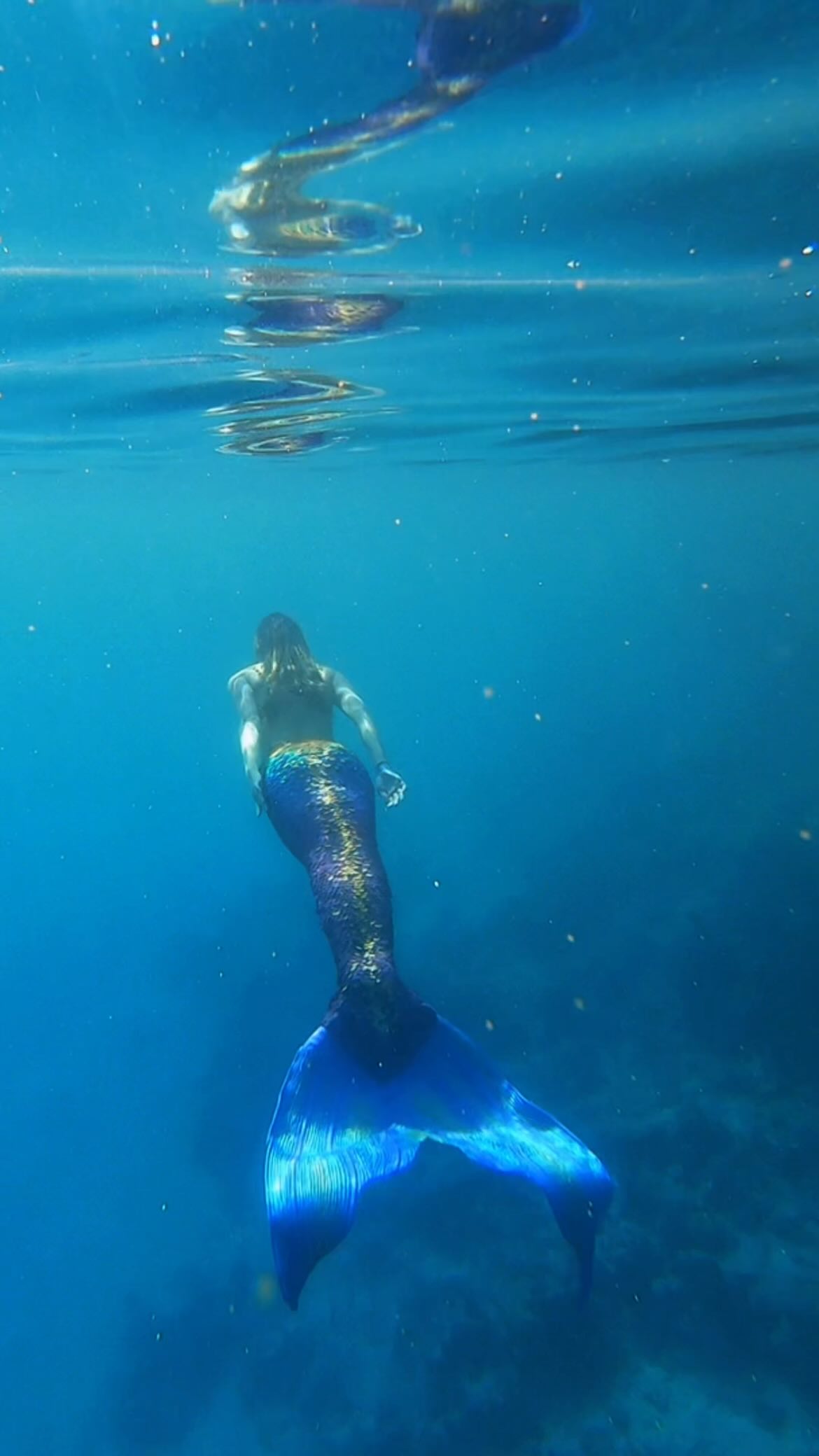 Finally taking my newly made-over mermaid fin for a swim, and what better location for her maiden voyage that the Red Sea ๐ง๐ผโโ๏ธ ๐๐คฉ
This gorgeous fluke design in collaboration with @themelbournemouldmaker looks so spectacular bought to life in full silicone!
What do you think of the final outcome of my new fin? ๐ง๐ผโโ๏ธ๐