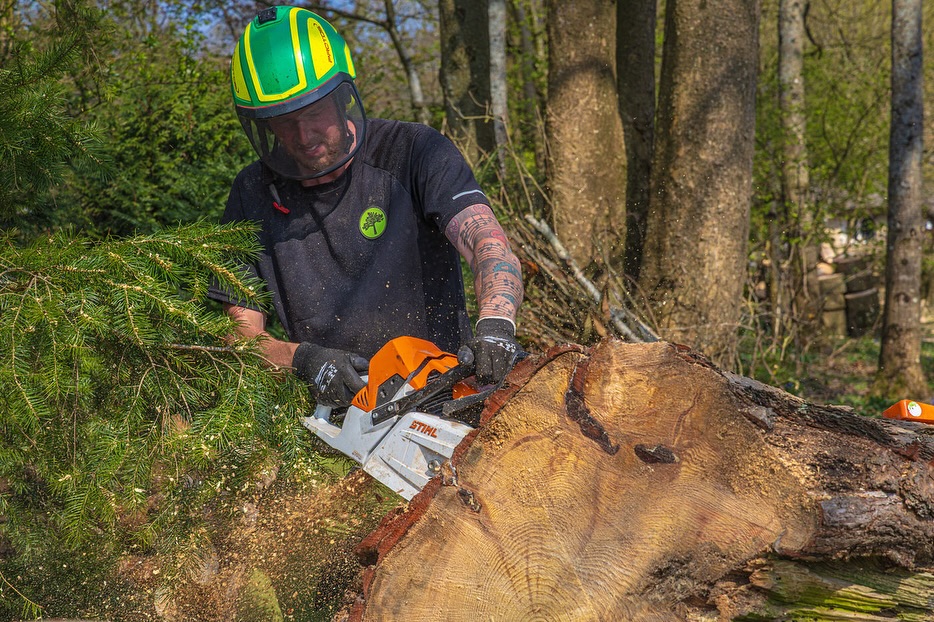 🌱 Gardening Maintenance & Tree Surgery Team – Part-Time Position 🌳
We are a small, friendly, family-run gardening maintenance and tree surgery business based in Bromham, and we’re looking for someone reliable and hardworking to join our team.
About the Role:
• Hours: 2–3 days per week (flexible), typically between 8:00 am – 4:30 pm
• Pay: Good rates, dependent on skills and experience
• Location: Must be able to travel to and from our premises in Bromham
What You’ll Do:
• General gardening maintenance work
• Lawn mowing, strimming, hedge cutting
• Assisting with tree surgery tasks (chainsaw licence is a bonus but not required)
What We’re Looking For:
• Experience with lawnmowers, strimmers, and hedge cutters
• Hardworking with great attention to detail
• Reliable, punctual, and able to use initiative
• Enjoys working outdoors in a small, supportive team
Why Join Us?
• Work with a welcoming, family-run business
• Varied outdoor work in a friendly environment
• Flexible part-time hours
• Opportunities to grow your skills
If you’re someone who enjoys practical outdoor work and takes pride in doing a job well, we’d love to hear from you!
UK, Wiltshire based. 18+.
👉 To apply, please get in touch with us at:
Email: info@mjbgroup.co.uk
Or call us on: 01225-20941139
