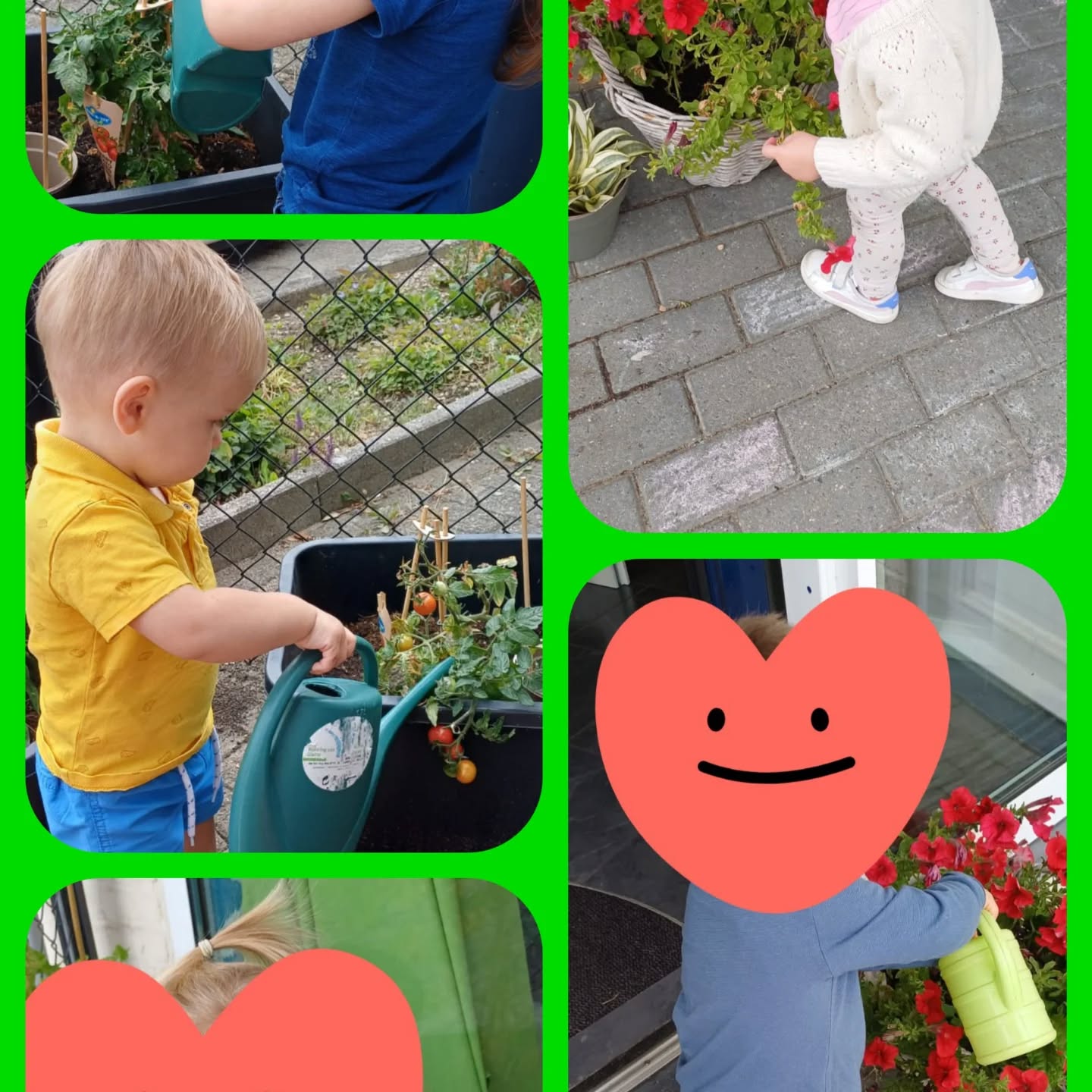 Onze bloemetjes en groenteplantjes water geven 💦🌸🫑🍅